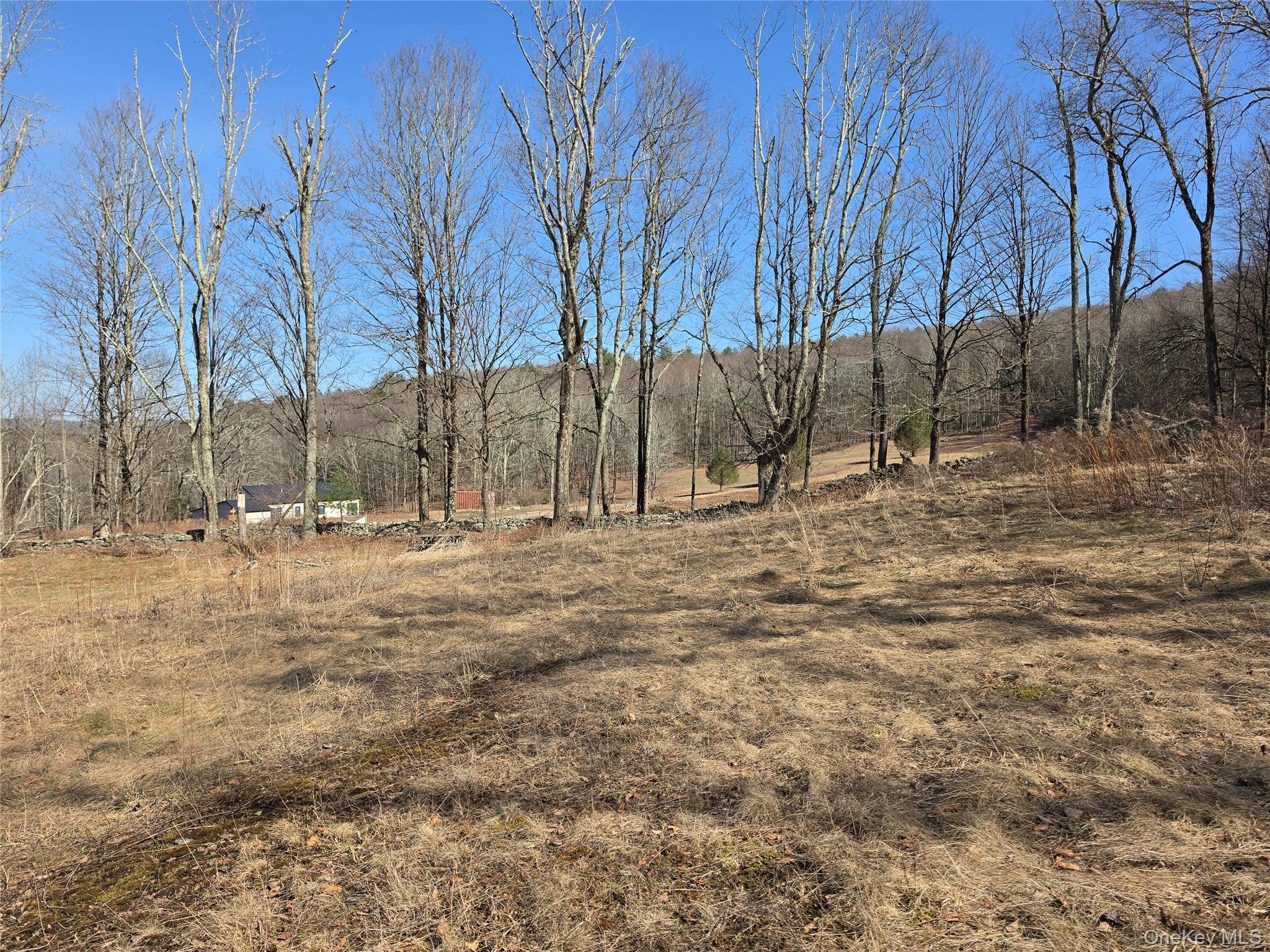 #10 photo, Lot 10 Timber Drive Road, Cochecton , NY 12726