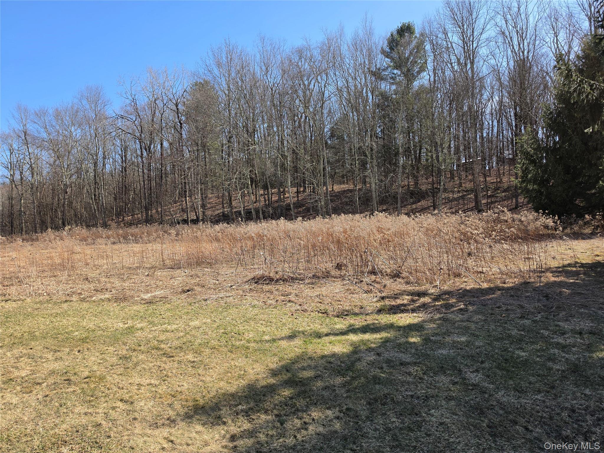 #11 photo, Lot 10 Timber Drive Road, Cochecton , NY 12726