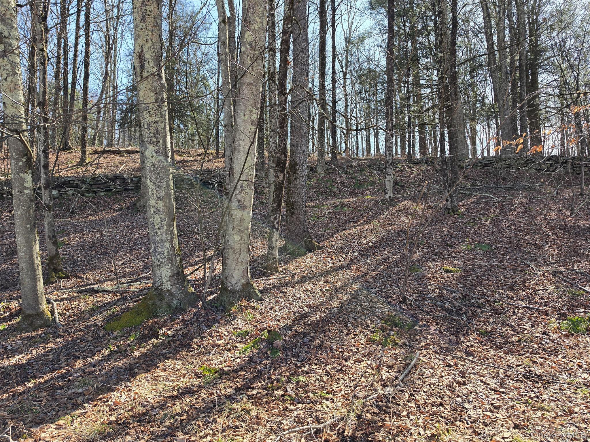 #13 photo, Lot 10 Timber Drive Road, Cochecton , NY 12726