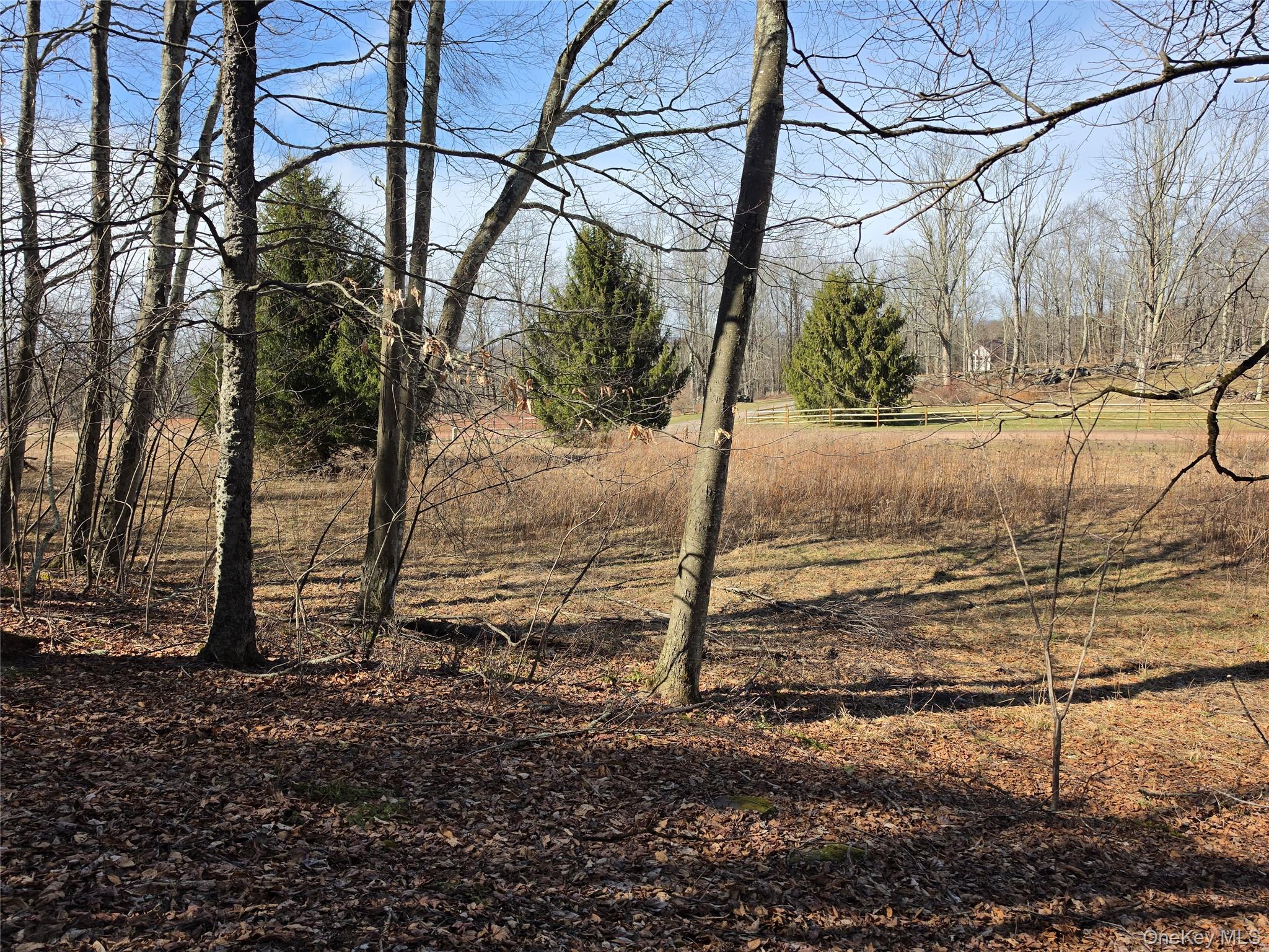 #14 photo, Lot 10 Timber Drive Road, Cochecton , NY 12726