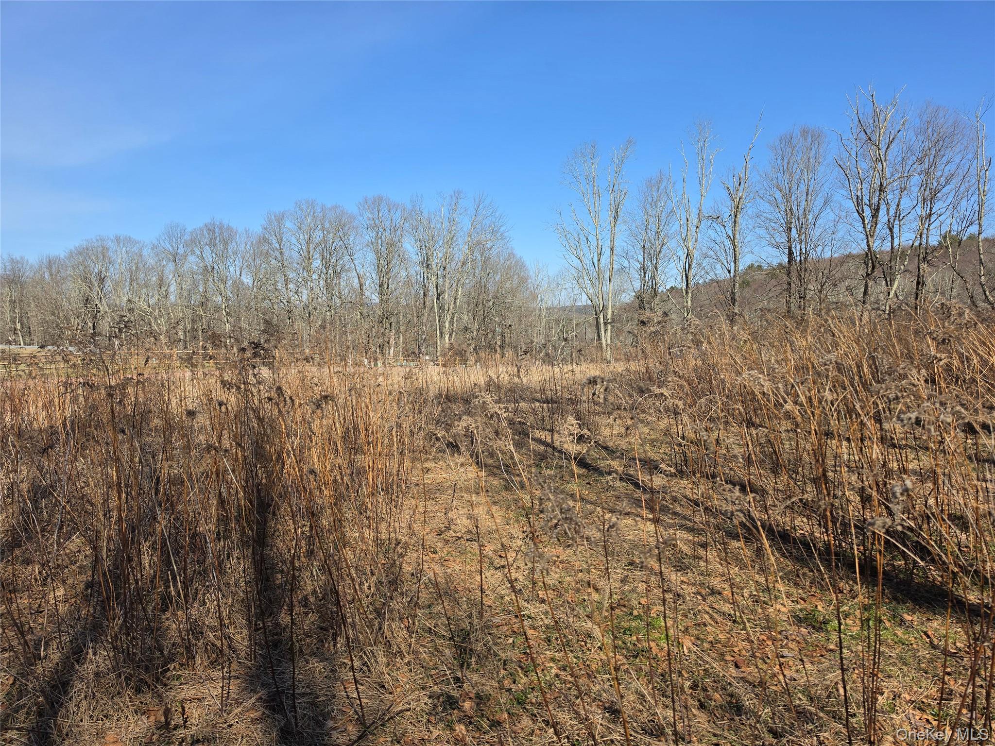 #15 photo, Lot 10 Timber Drive Road, Cochecton , NY 12726