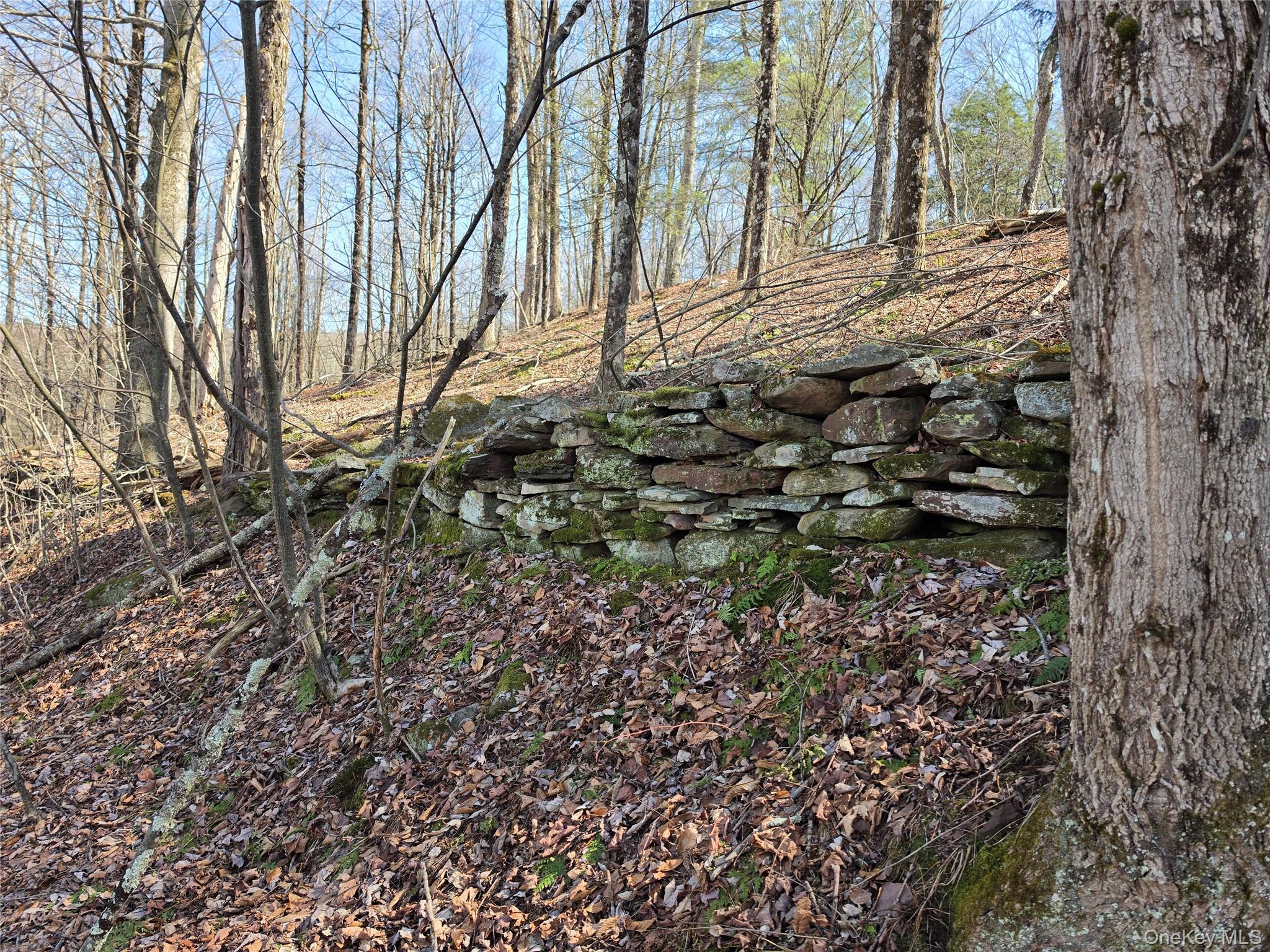 #17 photo, Lot 10 Timber Drive Road, Cochecton , NY 12726