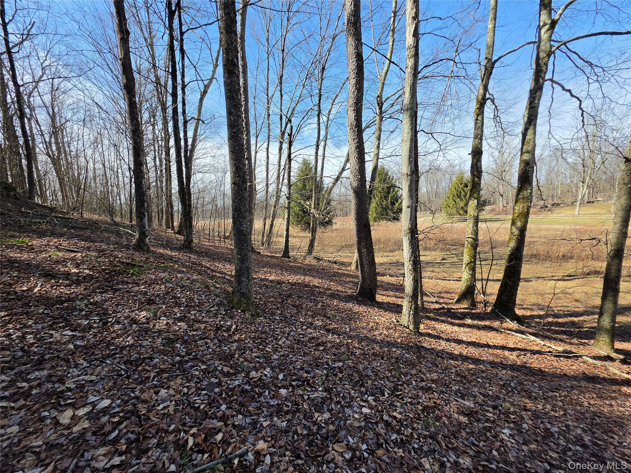 #18 photo, Lot 10 Timber Drive Road, Cochecton , NY 12726