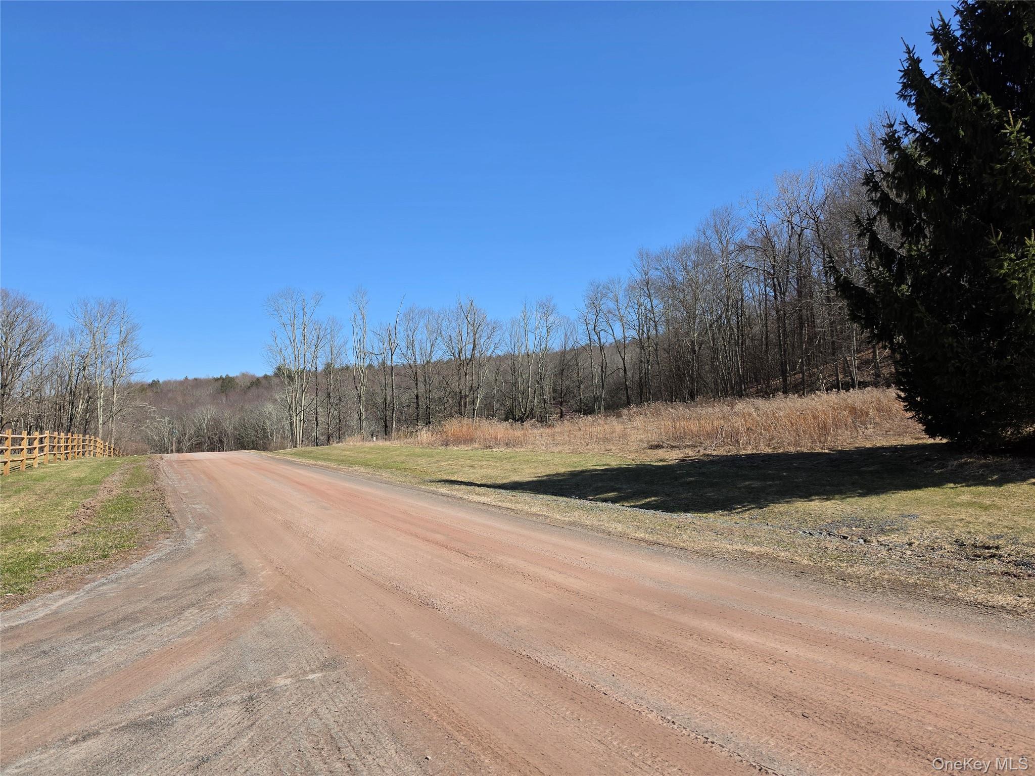 #19 photo, Lot 10 Timber Drive Road, Cochecton , NY 12726