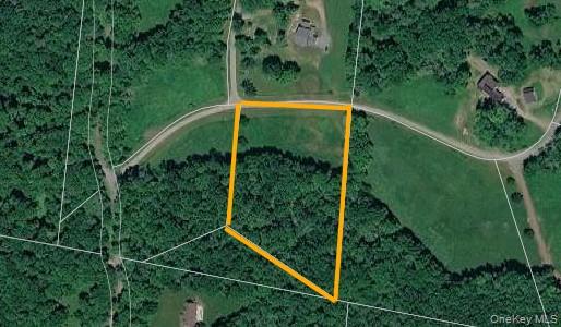 #2 photo, Lot 10 Timber Drive Road, Cochecton , NY 12726
