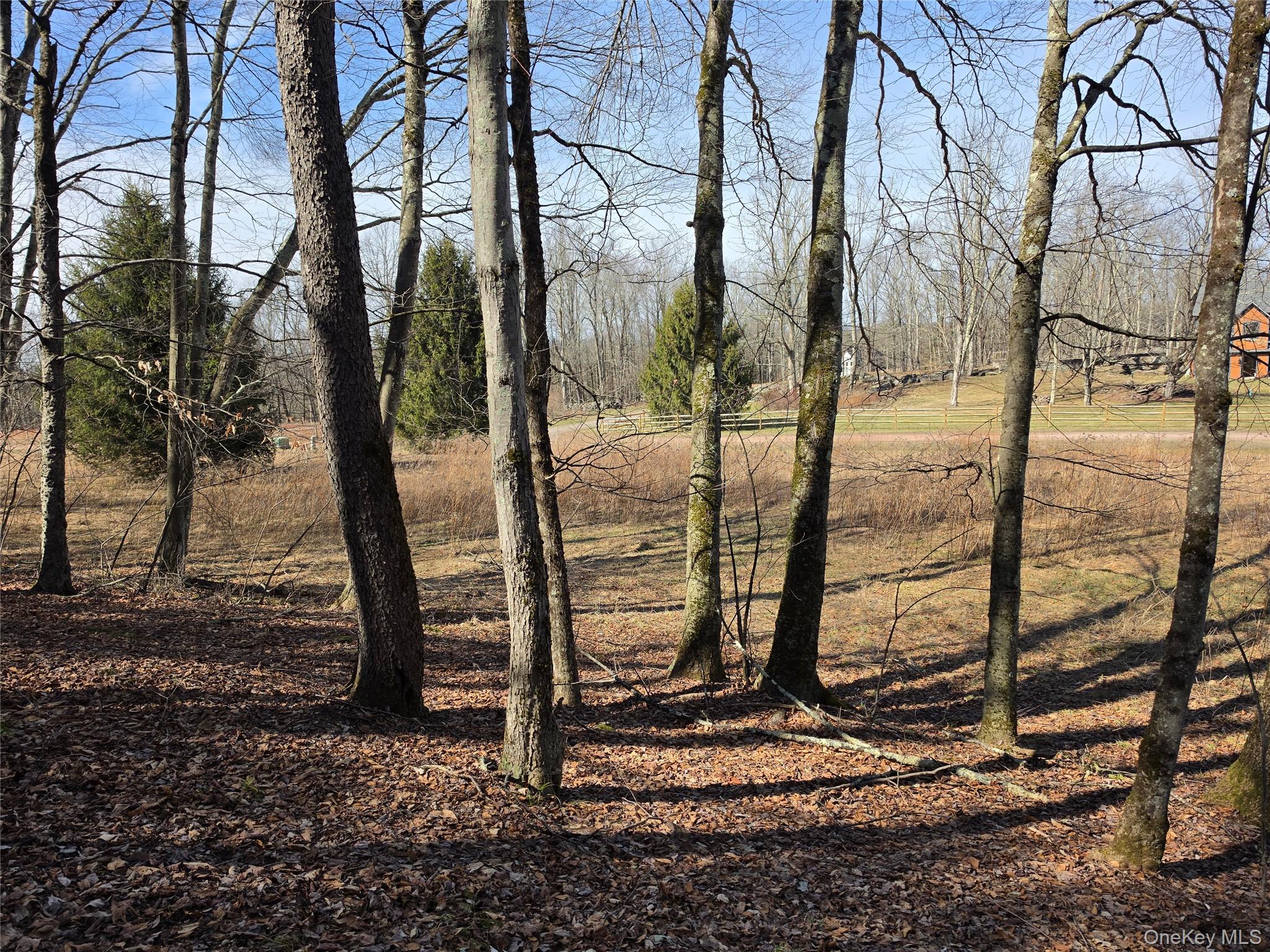 #3 photo, Lot 10 Timber Drive Road, Cochecton , NY 12726