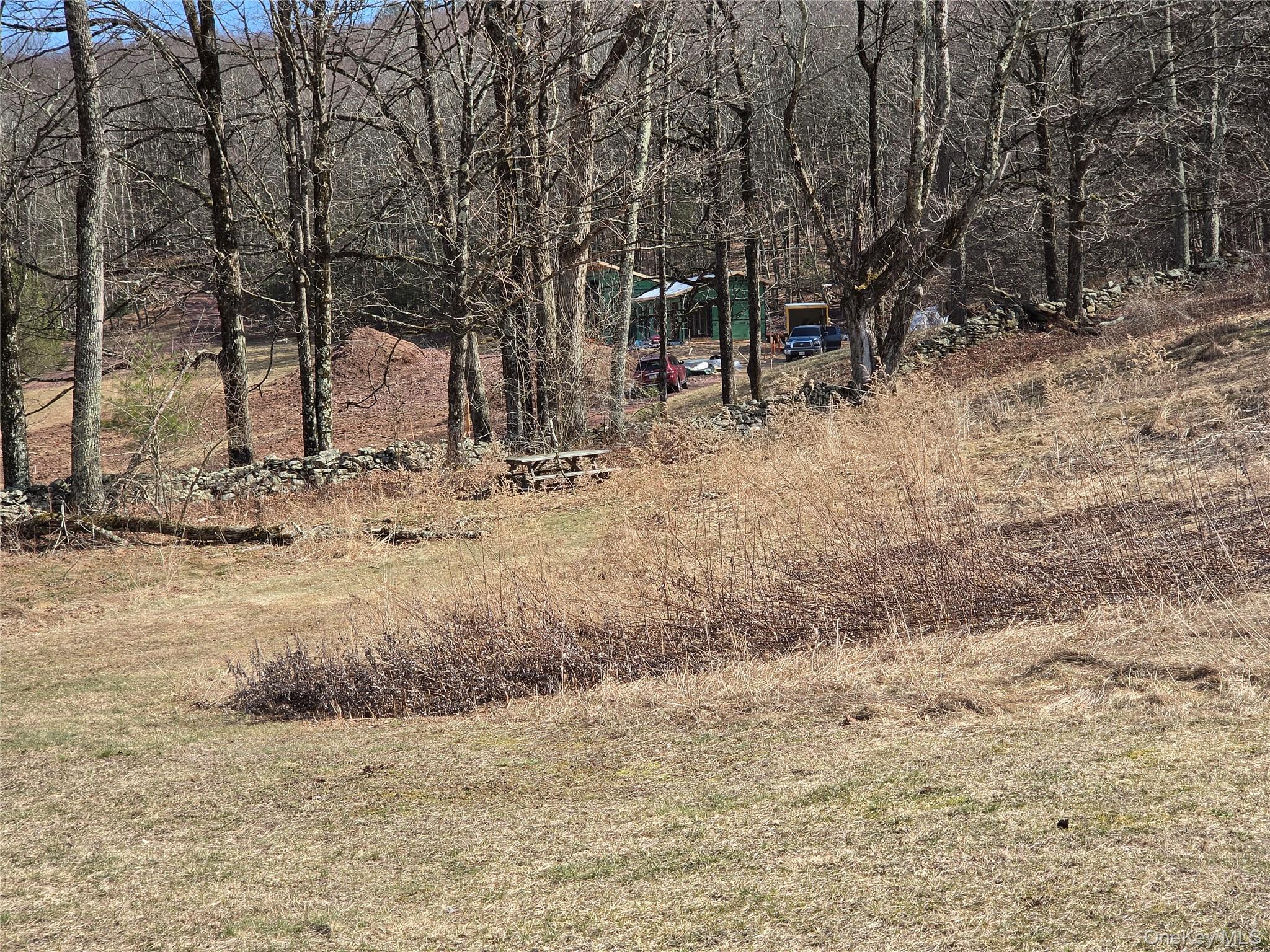 #4 photo, Lot 10 Timber Drive Road, Cochecton , NY 12726