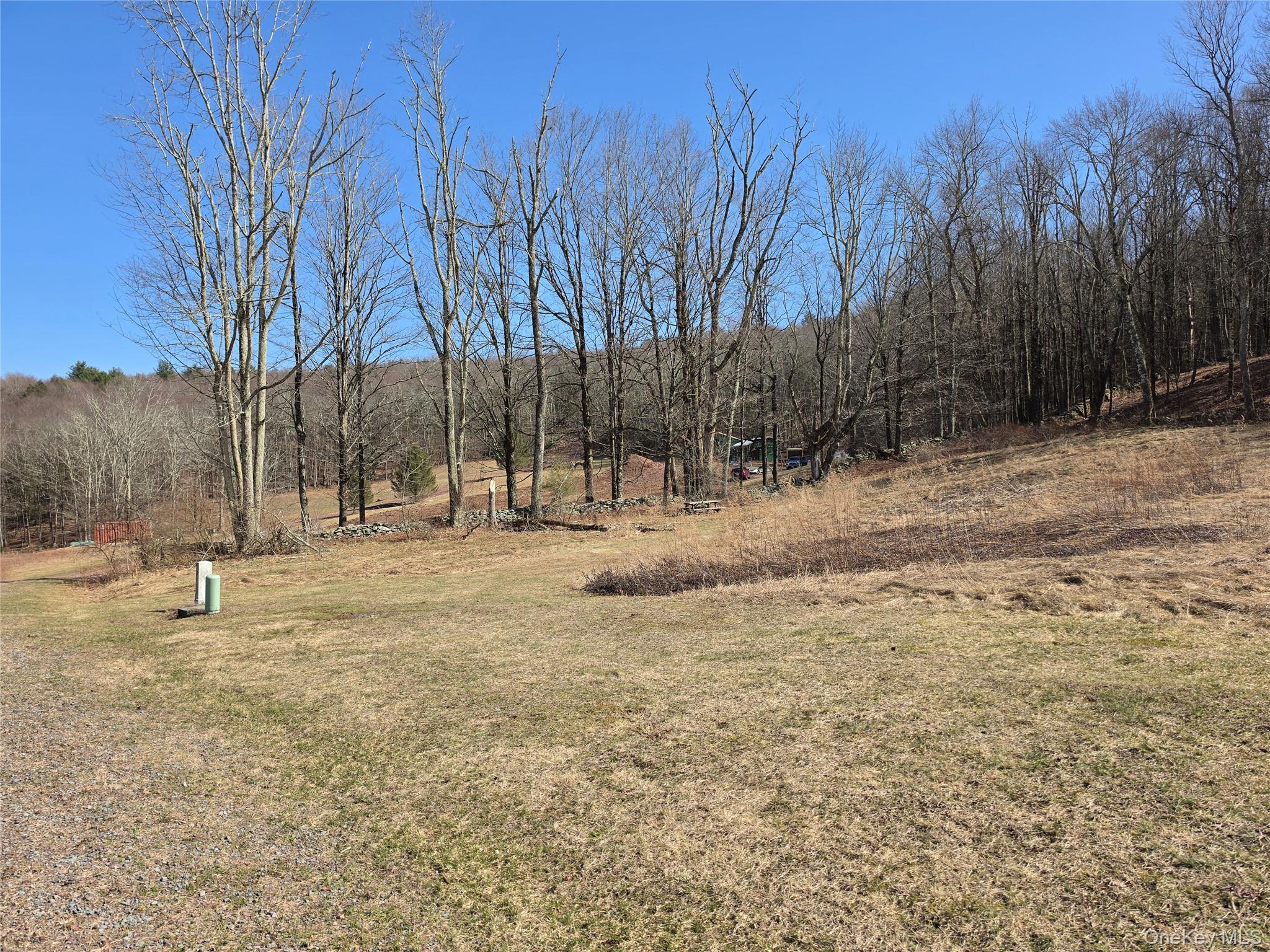 #5 photo, Lot 10 Timber Drive Road, Cochecton , NY 12726