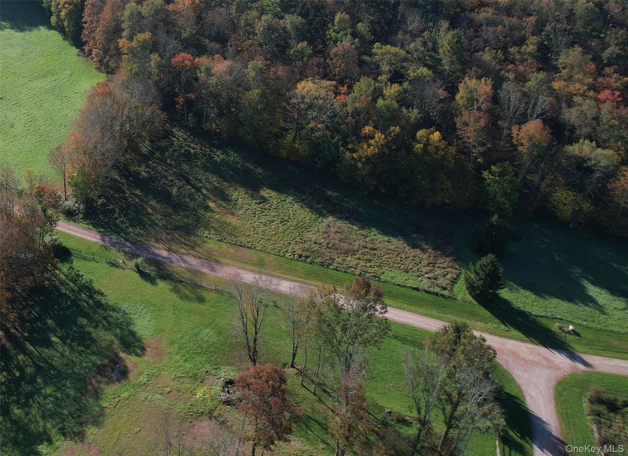 #7 photo, Lot 10 Timber Drive Road, Cochecton , NY 12726