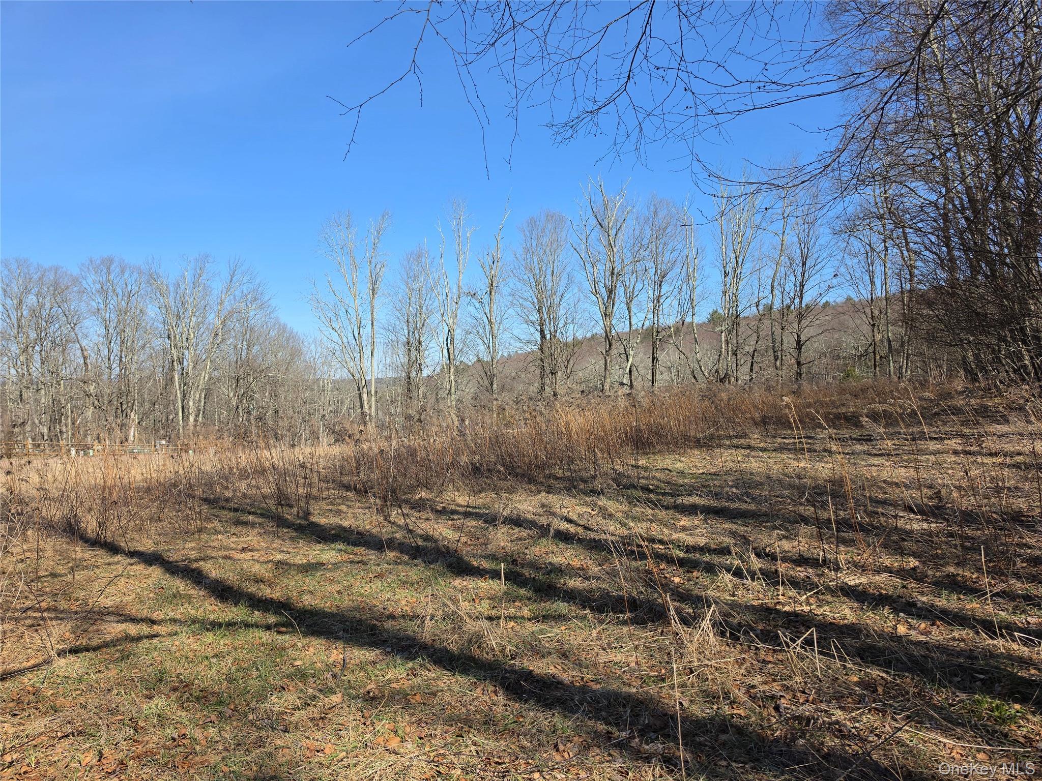 #8 photo, Lot 10 Timber Drive Road, Cochecton , NY 12726