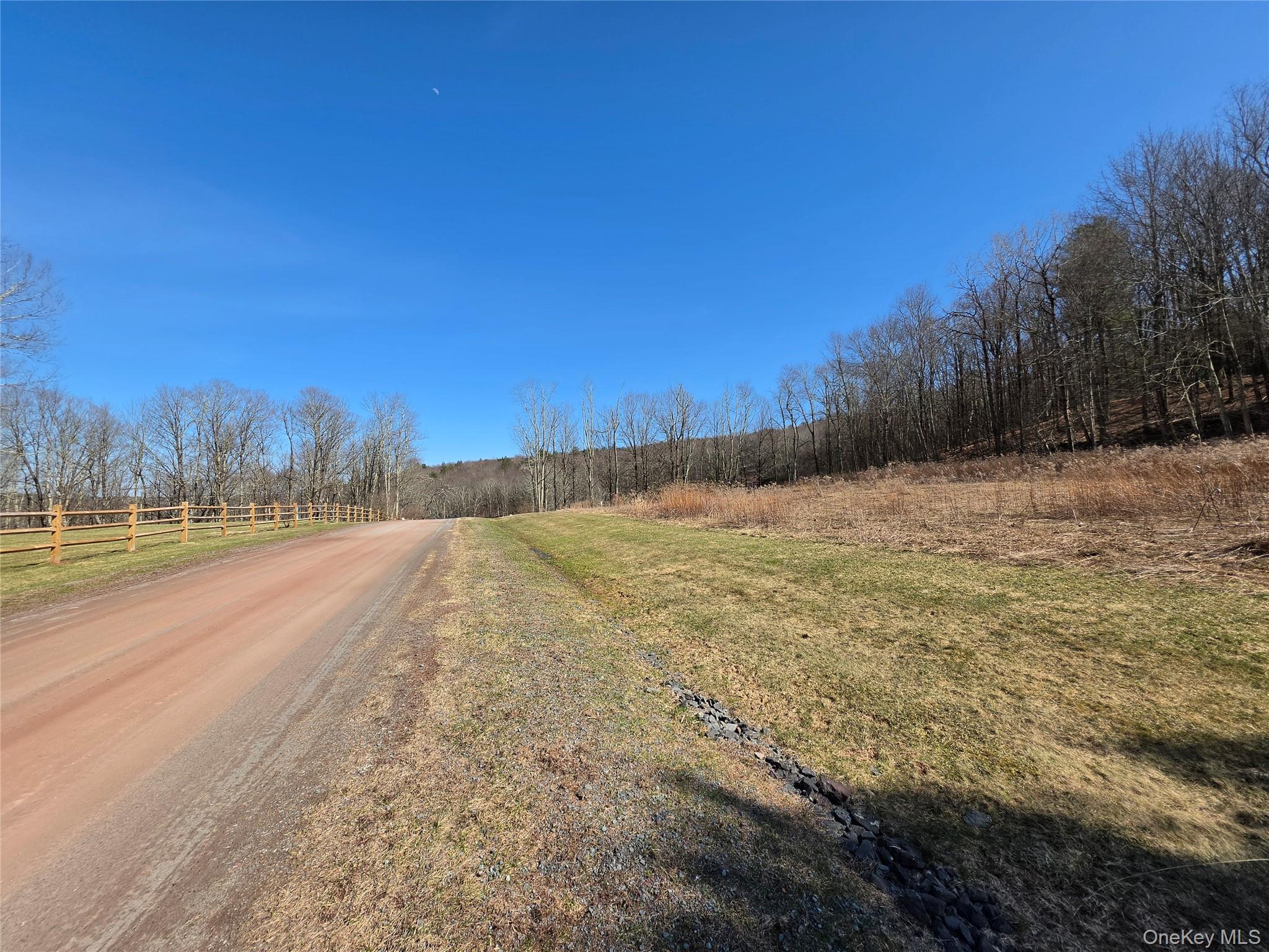 #9 photo, Lot 10 Timber Drive Road, Cochecton , NY 12726