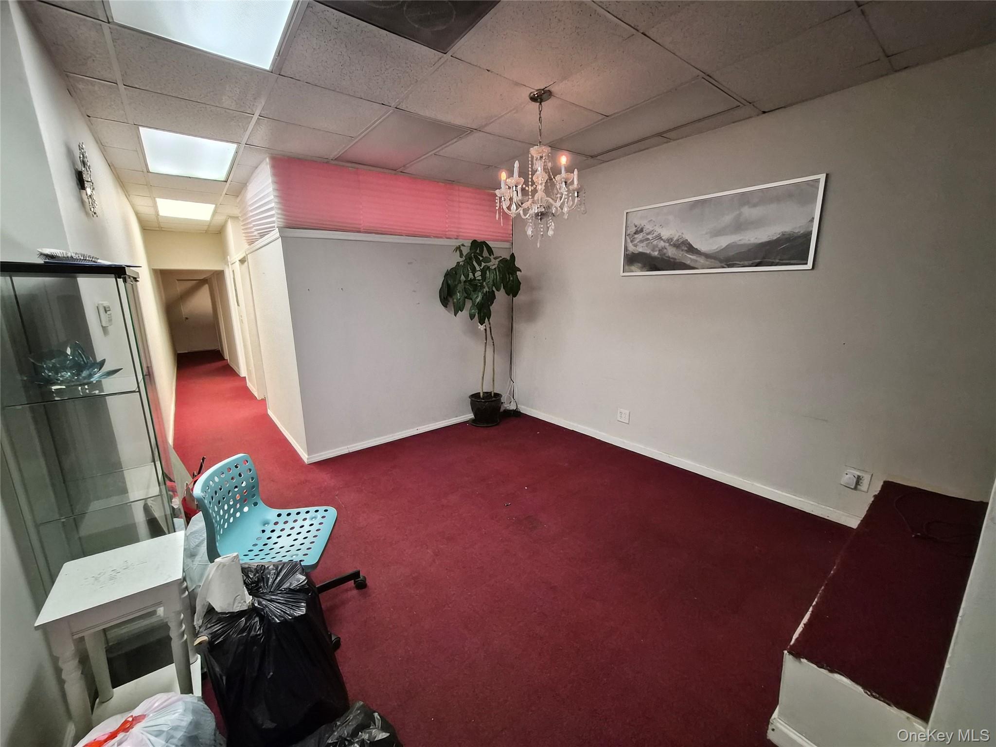 #11 photo, 55 Broadway, Hicksville , NY 11801