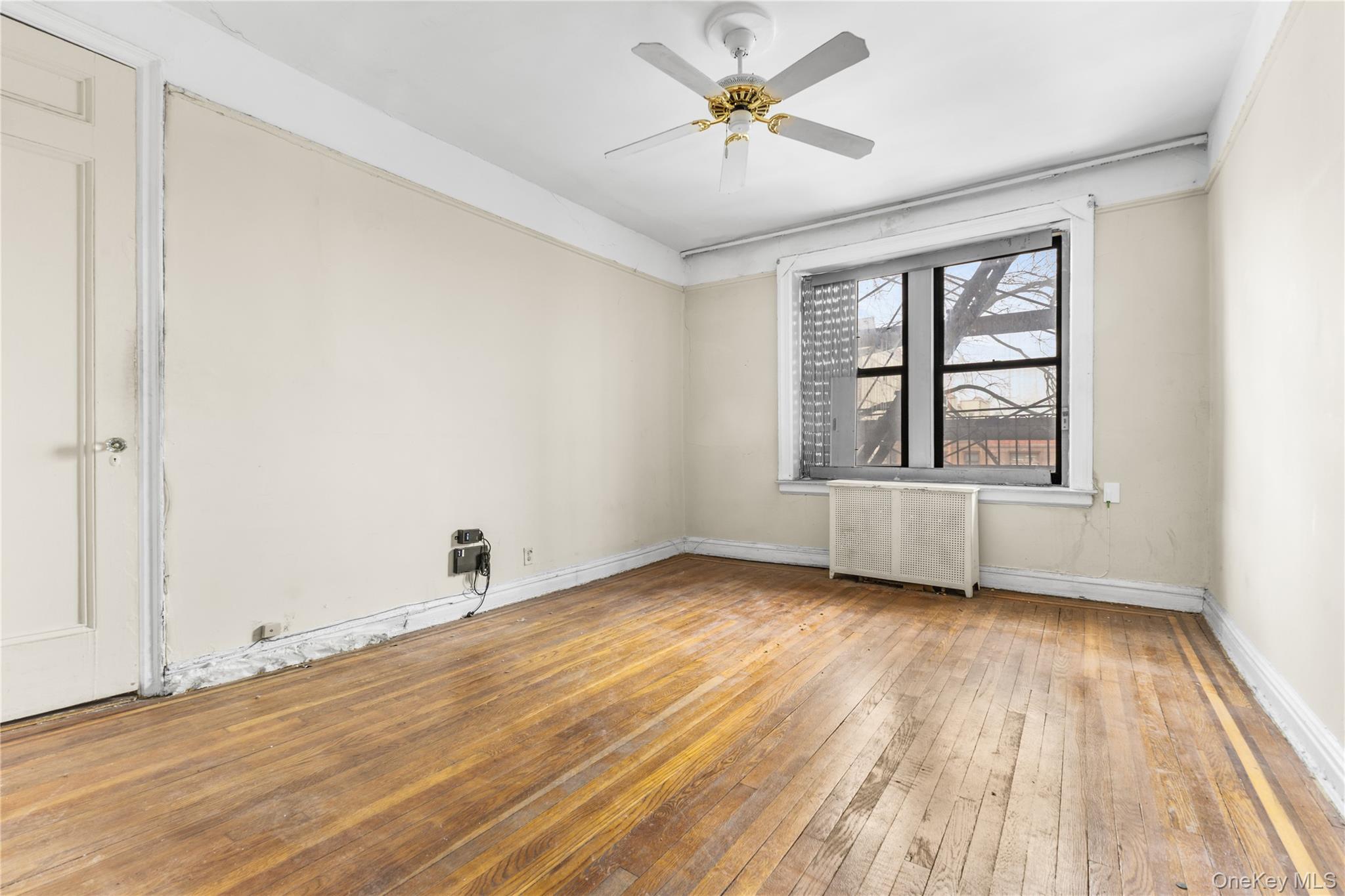 #19 photo, 850 Saint Marks Avenue, 布鲁克林 Brooklyn , NY 11213