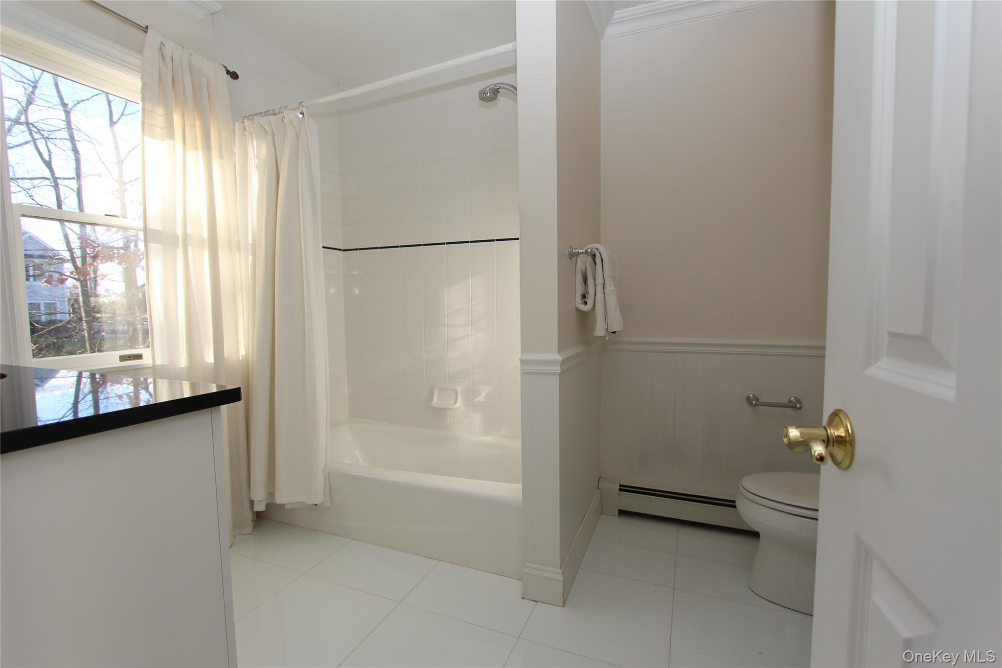 #17 photo, 445 Grace Church Street, 紐約州 Rye , NY 10580