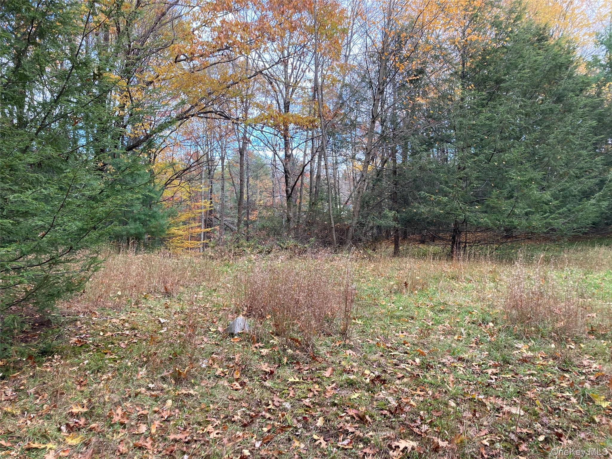 #6 photo, 403 & 405 Rock Hill Drive, Rock Hill , NY 12775