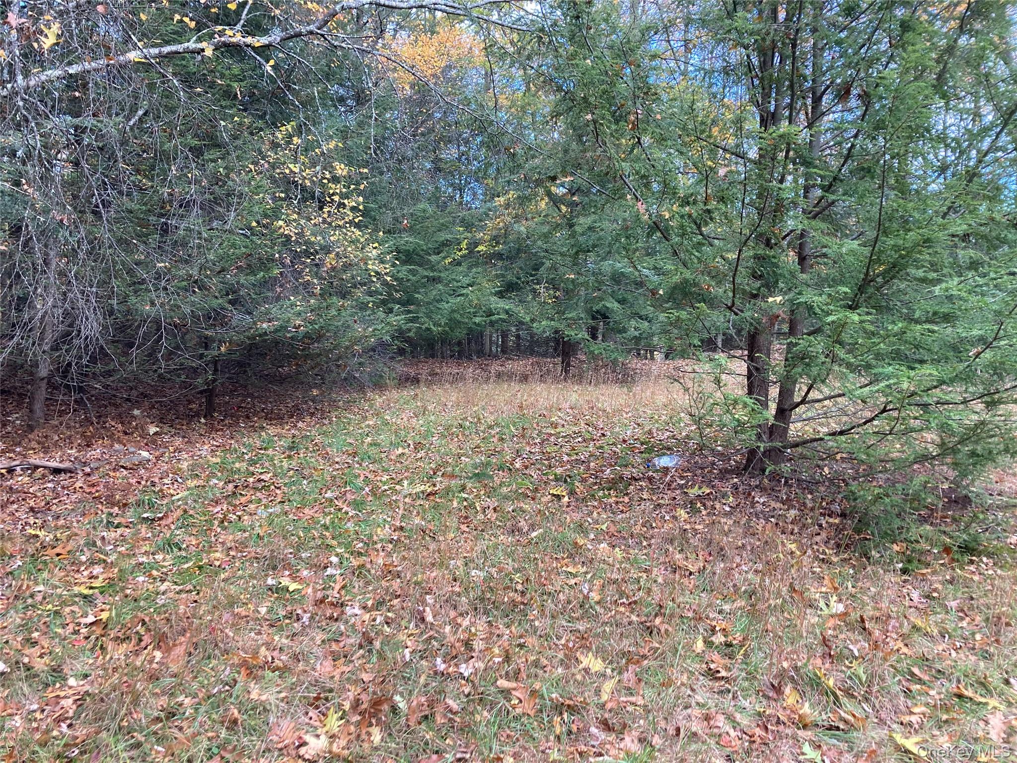 #7 photo, 403 & 405 Rock Hill Drive, Rock Hill , NY 12775