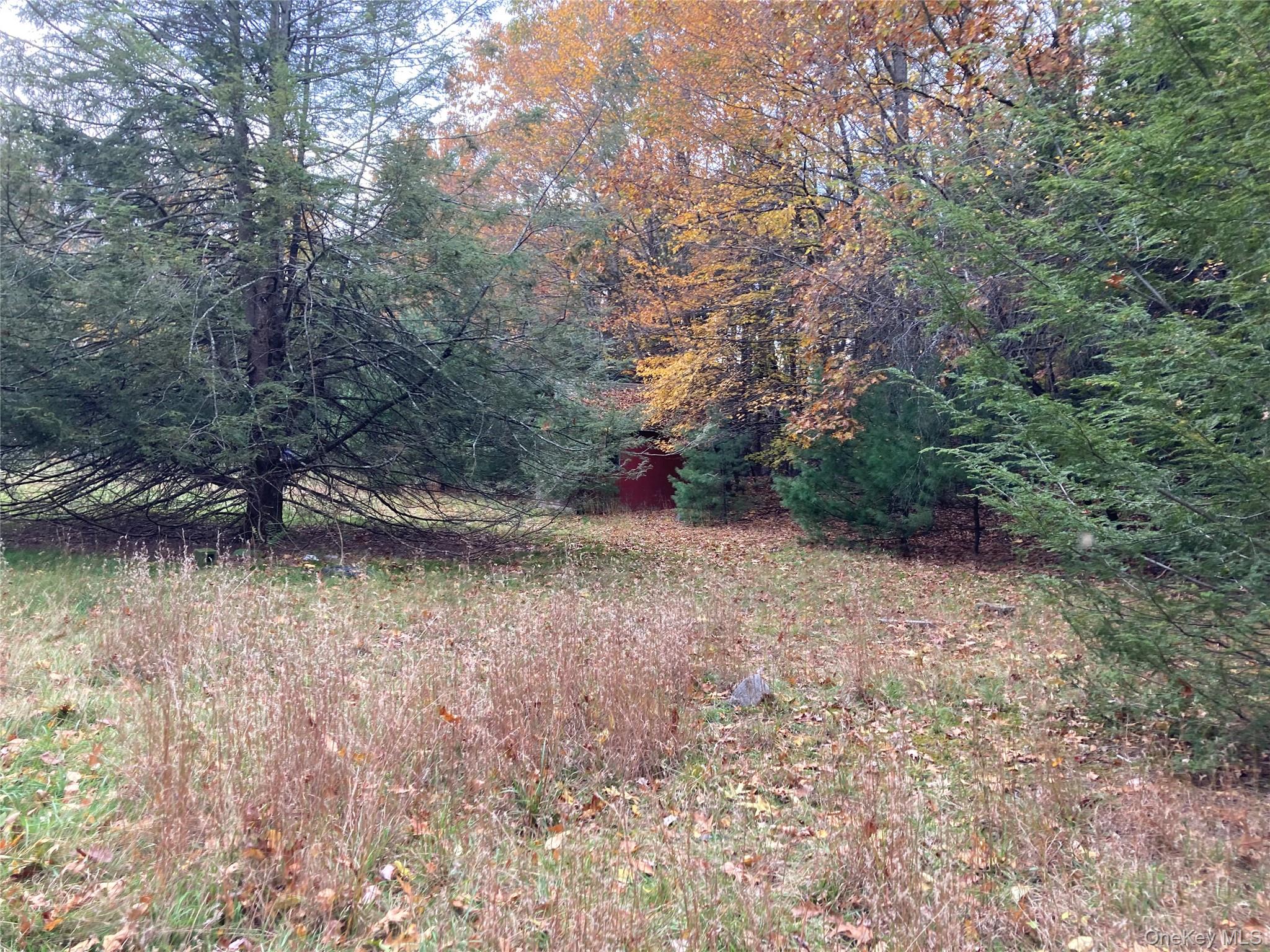 #9 photo, 403 & 405 Rock Hill Drive, Rock Hill , NY 12775