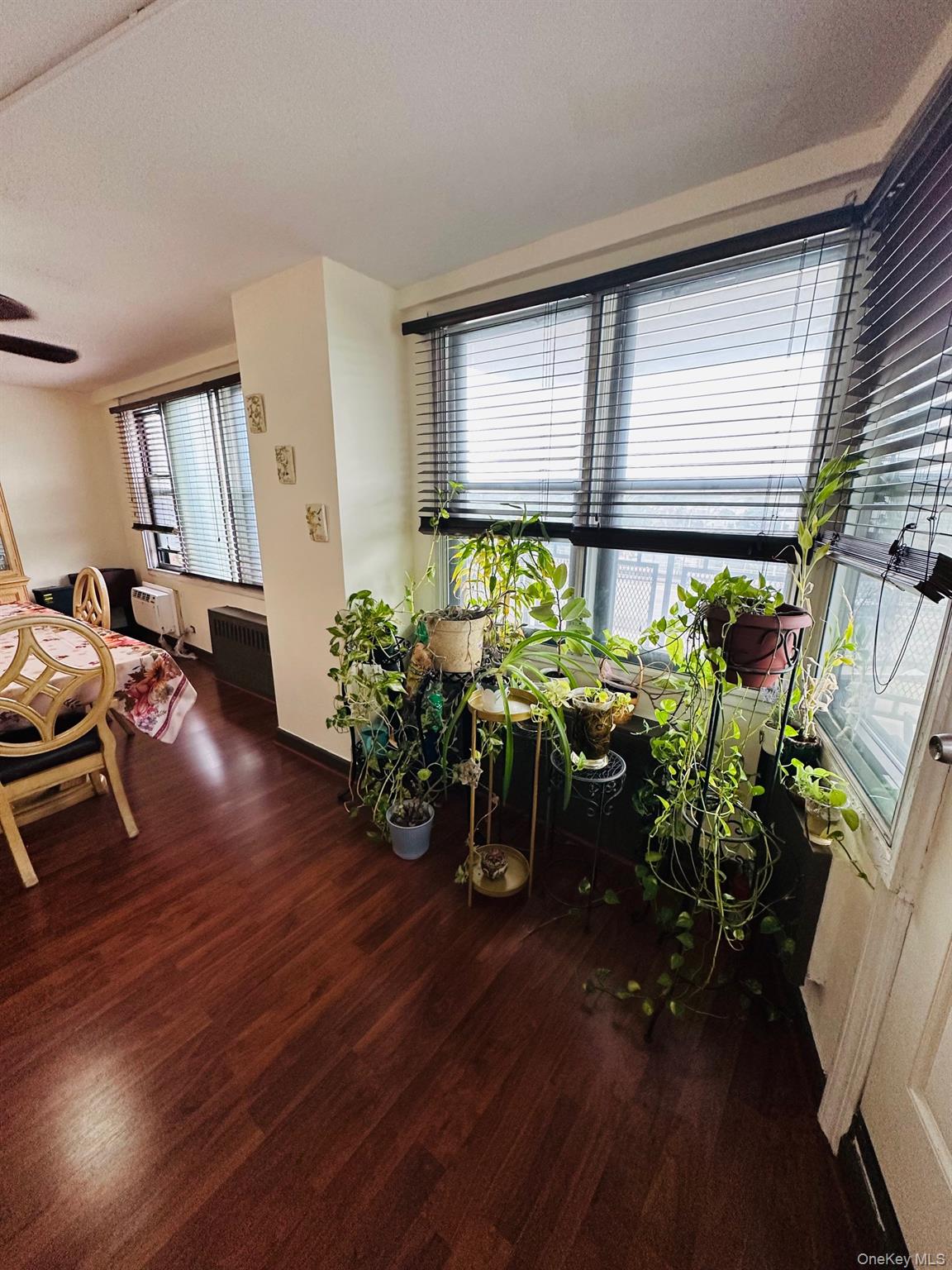 #15 photo, 3121 middletown Road, 布朗士 Bronx , NY 10461