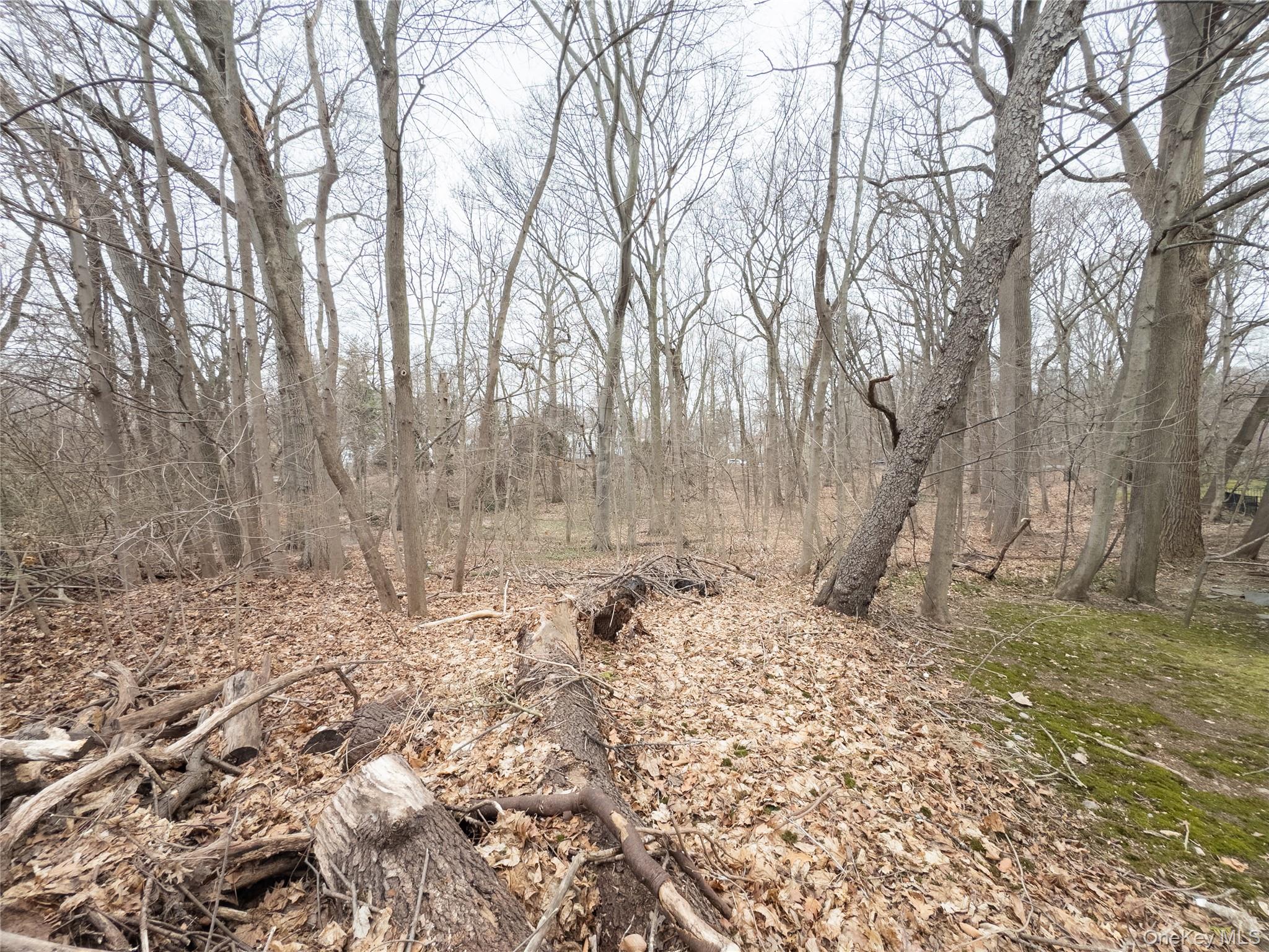 #5 photo, 60 Parkway, 紐約州 Mount Vernon , NY 10552