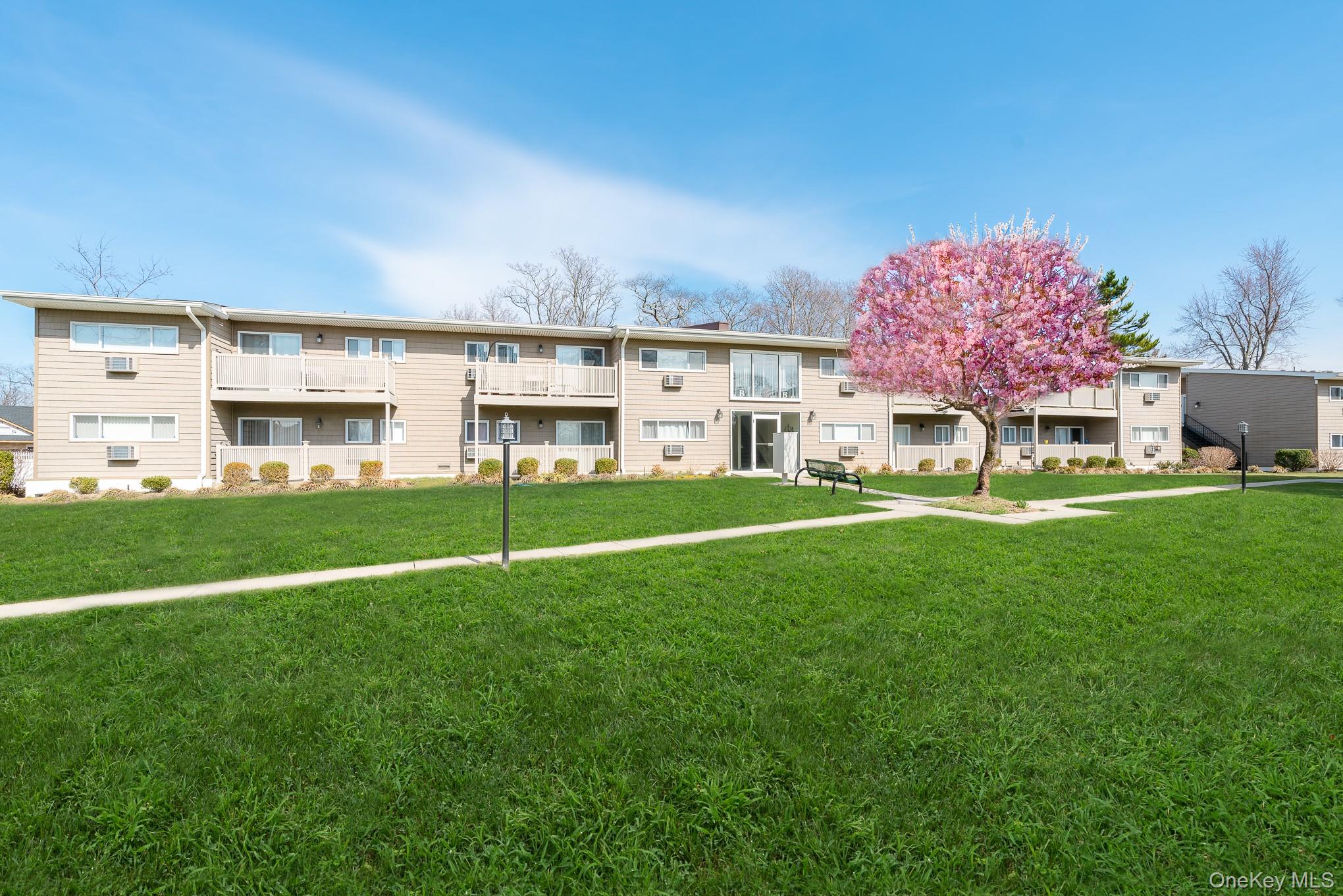 #3 photo, 365 Route 111, Smithtown , NY 11787