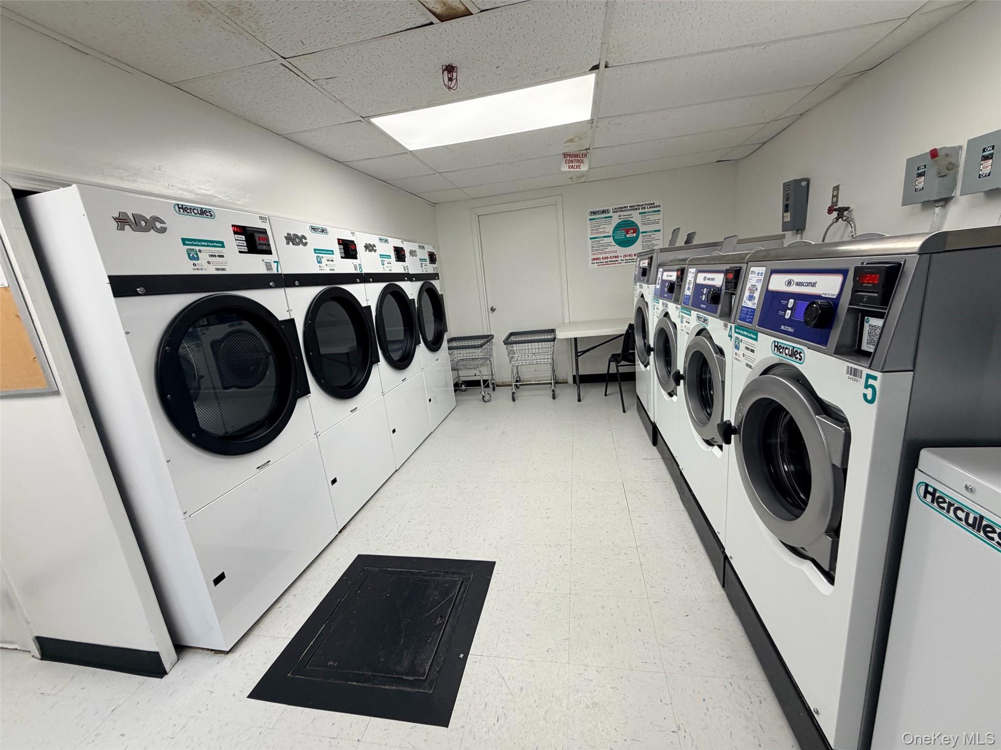 #13 photo, 100-25 Queens Boulevard, Forest Hills , NY 11375