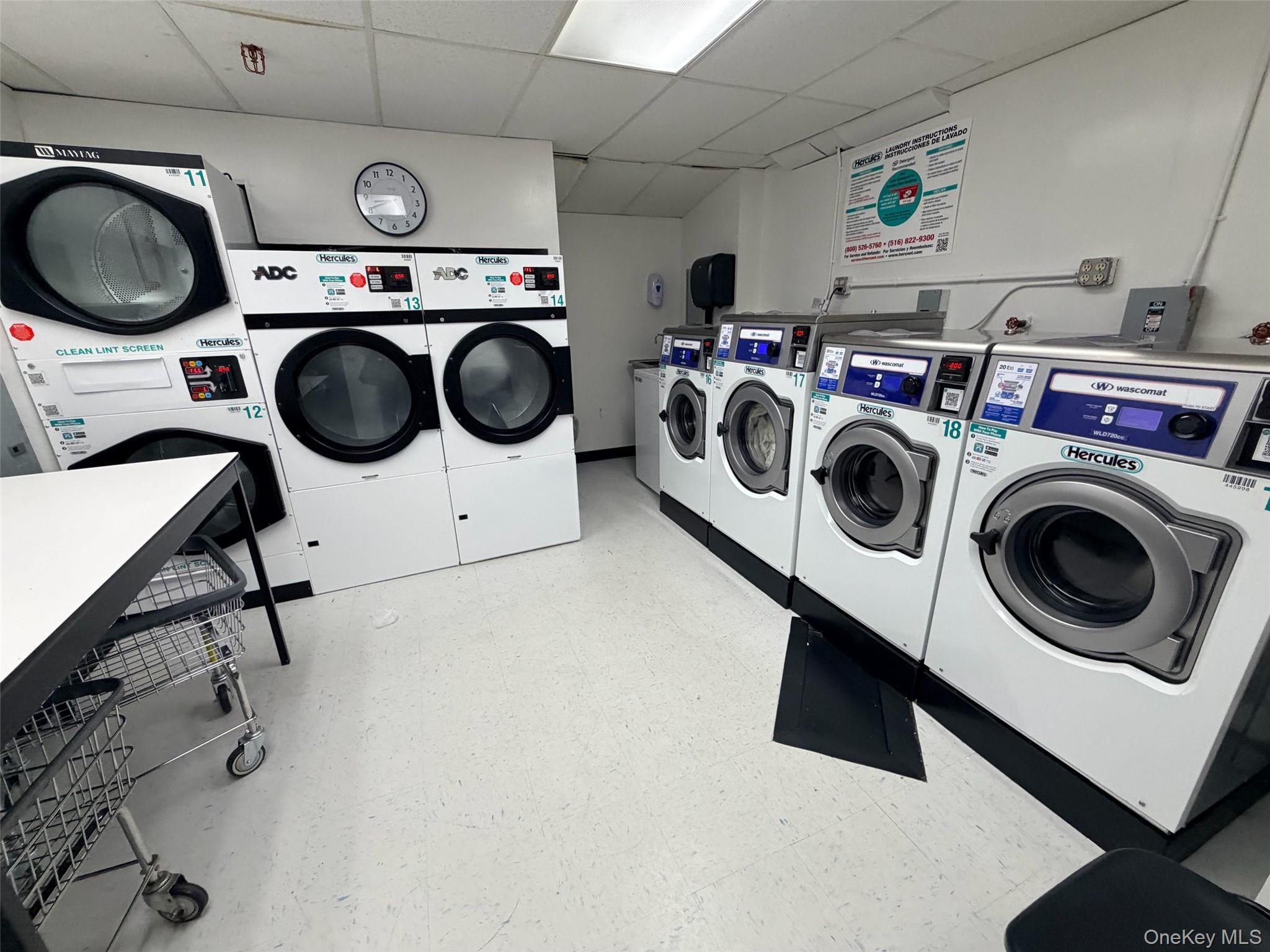 #14 photo, 100-25 Queens Boulevard, Forest Hills , NY 11375