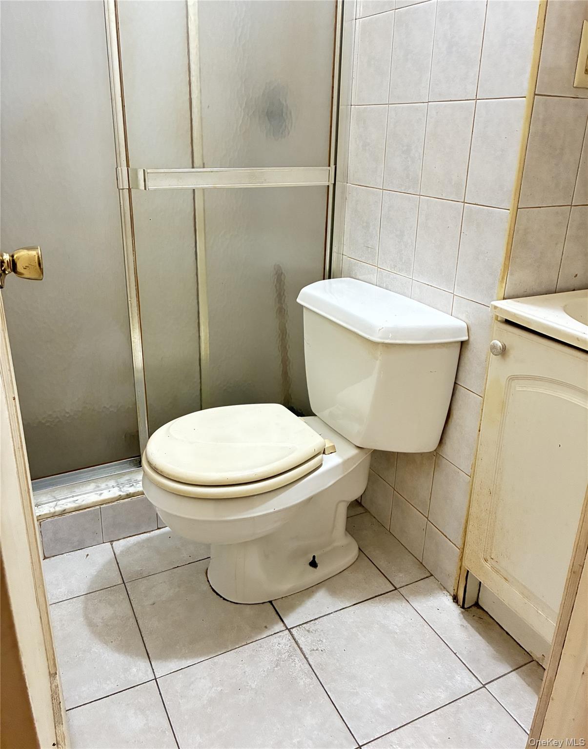 #14 photo, 3 Chestnut Avenue, Floral Park , NY 11001