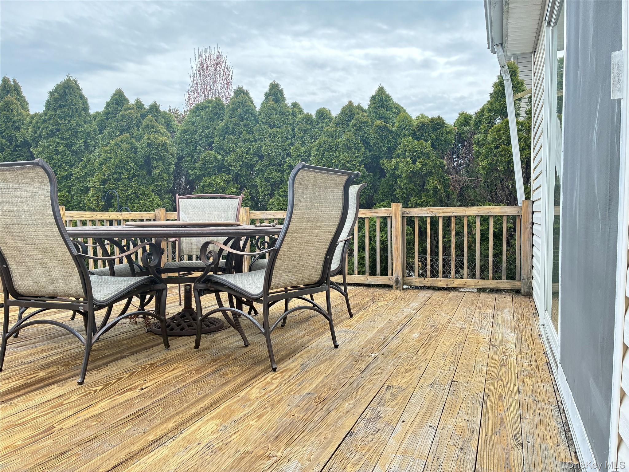 #18 photo, 3 Chestnut Avenue, Floral Park , NY 11001