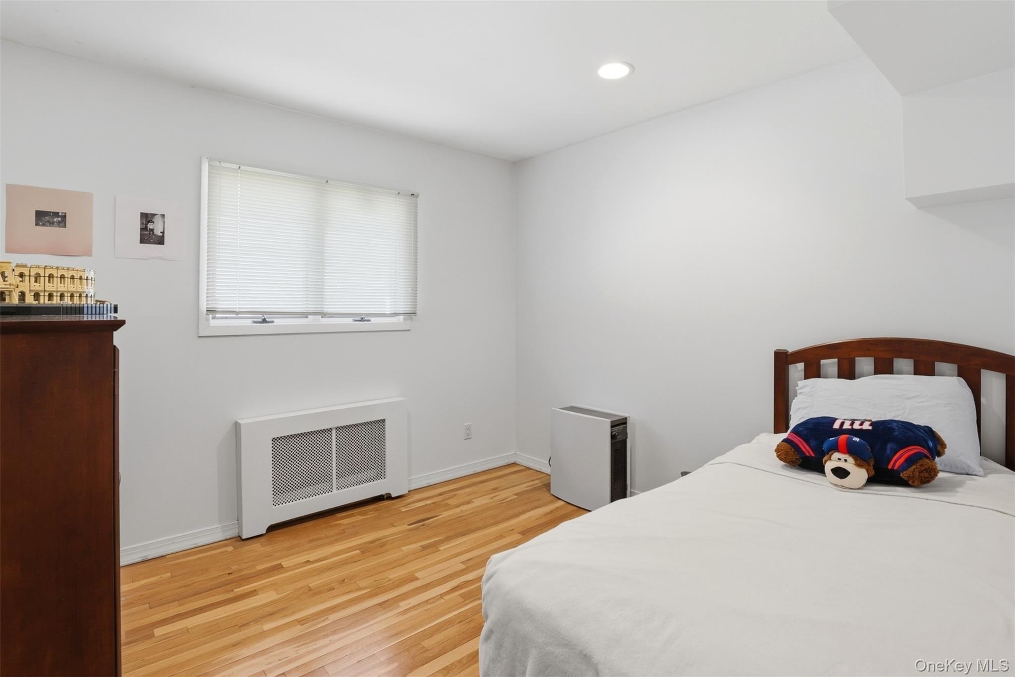 #15 photo, 15 5th Place, Syosset , NY 11791