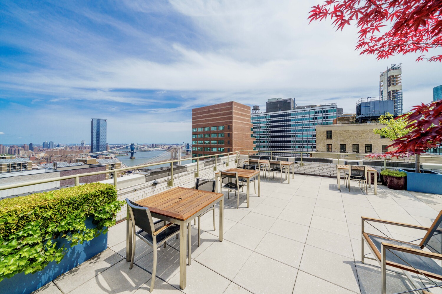 #10 photo, 99 JOHN Street, South Street Seaport , NY 10038