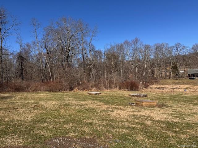 #6 photo, 37-43 Nine Partners Road, Clinton Corners , NY 12514