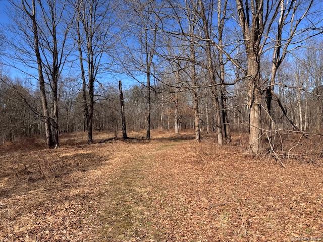 #8 photo, 37-43 Nine Partners Road, Clinton Corners , NY 12514