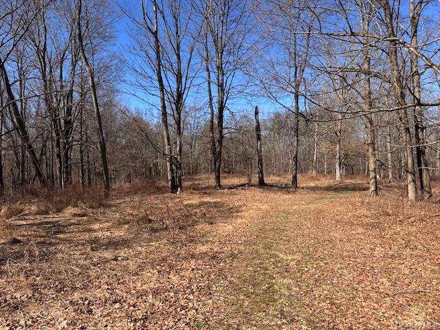 #9 photo, 37-43 Nine Partners Road, Clinton Corners , NY 12514