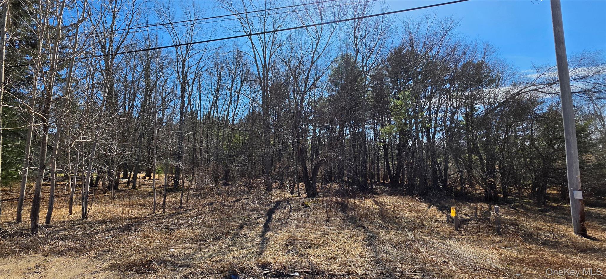 #11 photo, Lot 18.12 Rt. 17B, Bethel , NY 12720