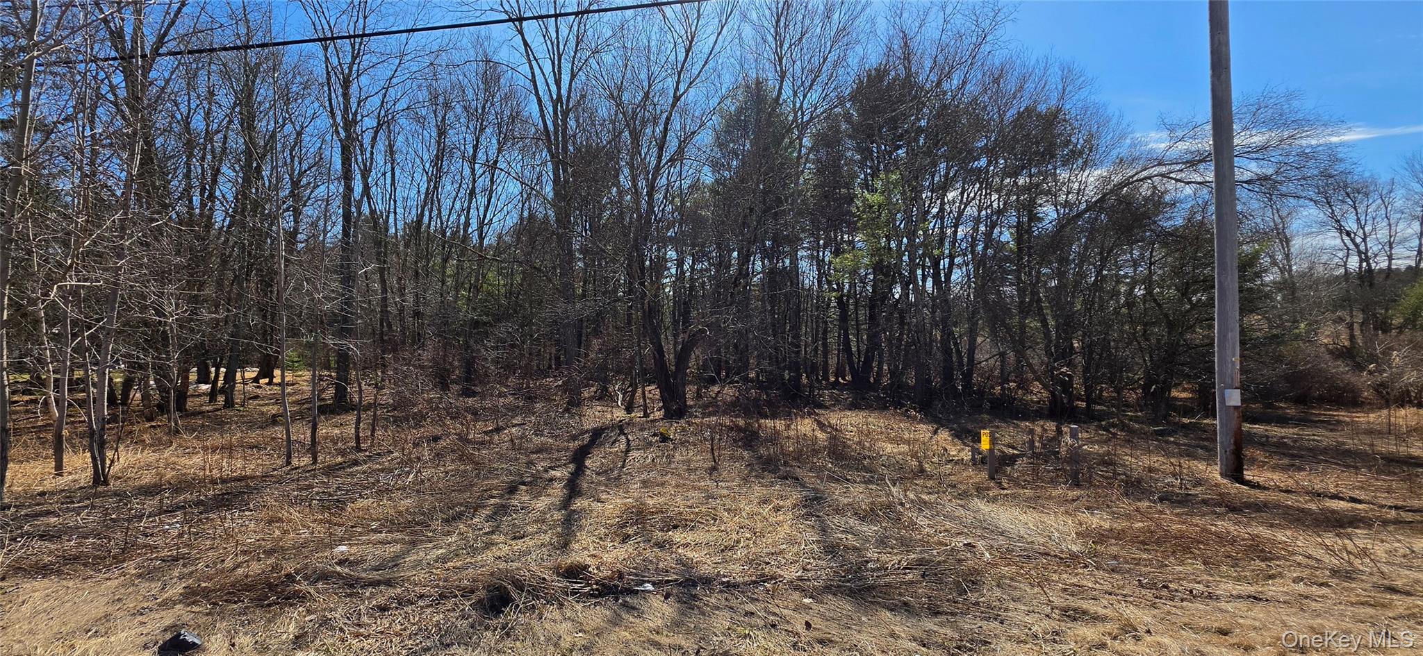 #2 photo, Lot 18.12 Rt. 17B, Bethel , NY 12720