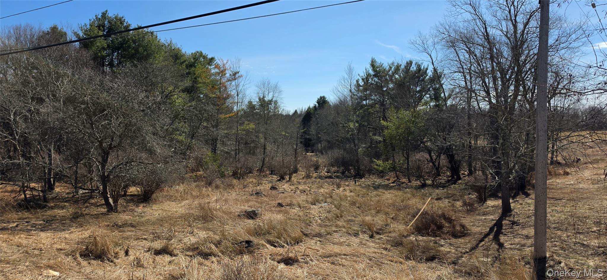 #3 photo, Lot 18.12 Rt. 17B, Bethel , NY 12720