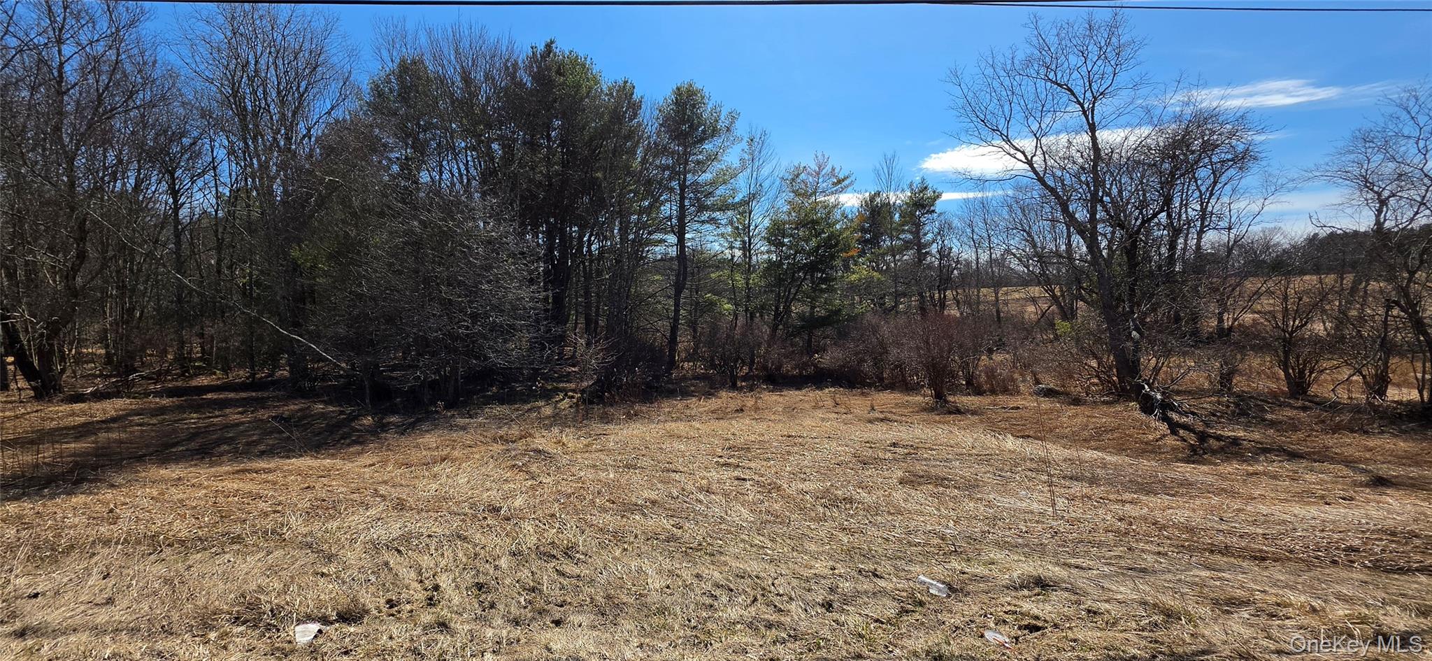 #6 photo, Lot 18.12 Rt. 17B, Bethel , NY 12720