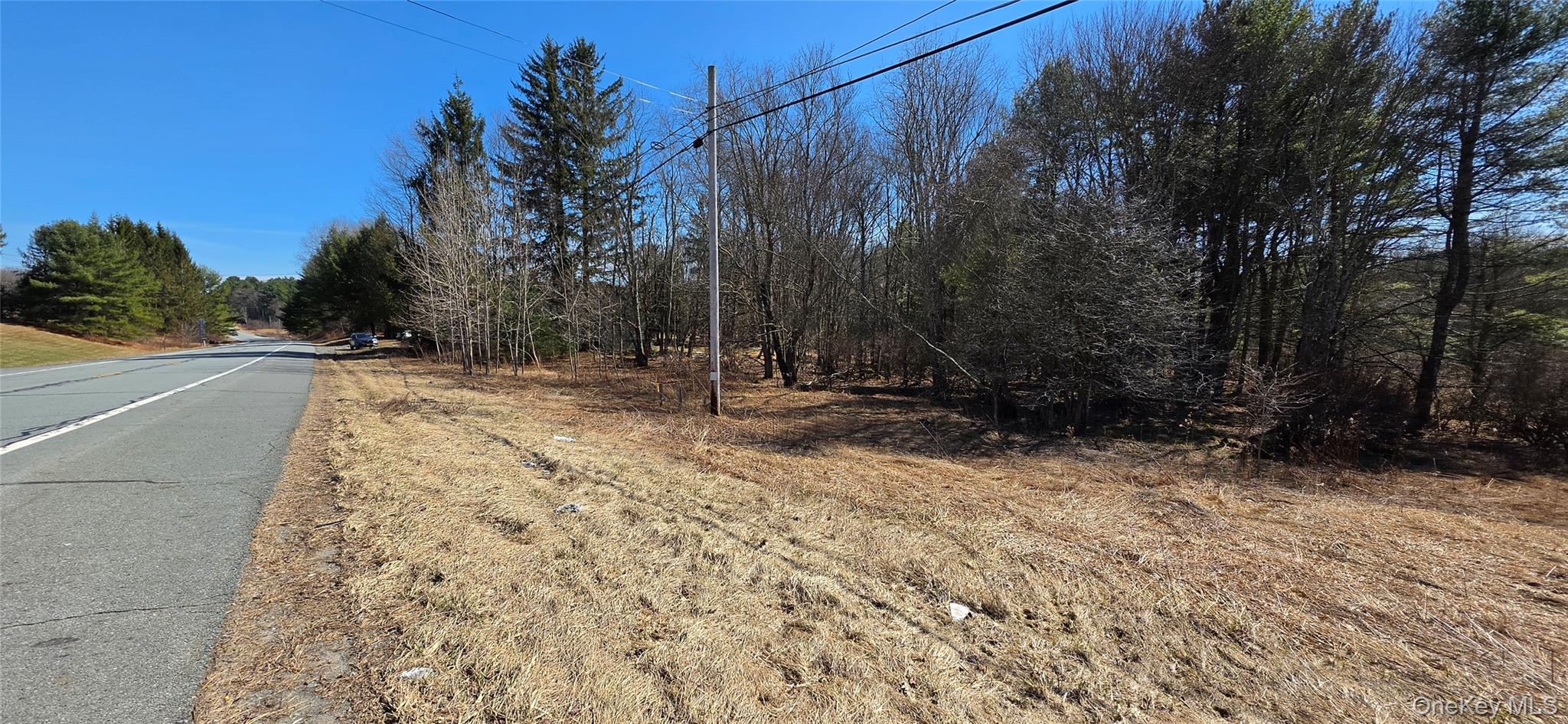 #8 photo, Lot 18.12 Rt. 17B, Bethel , NY 12720