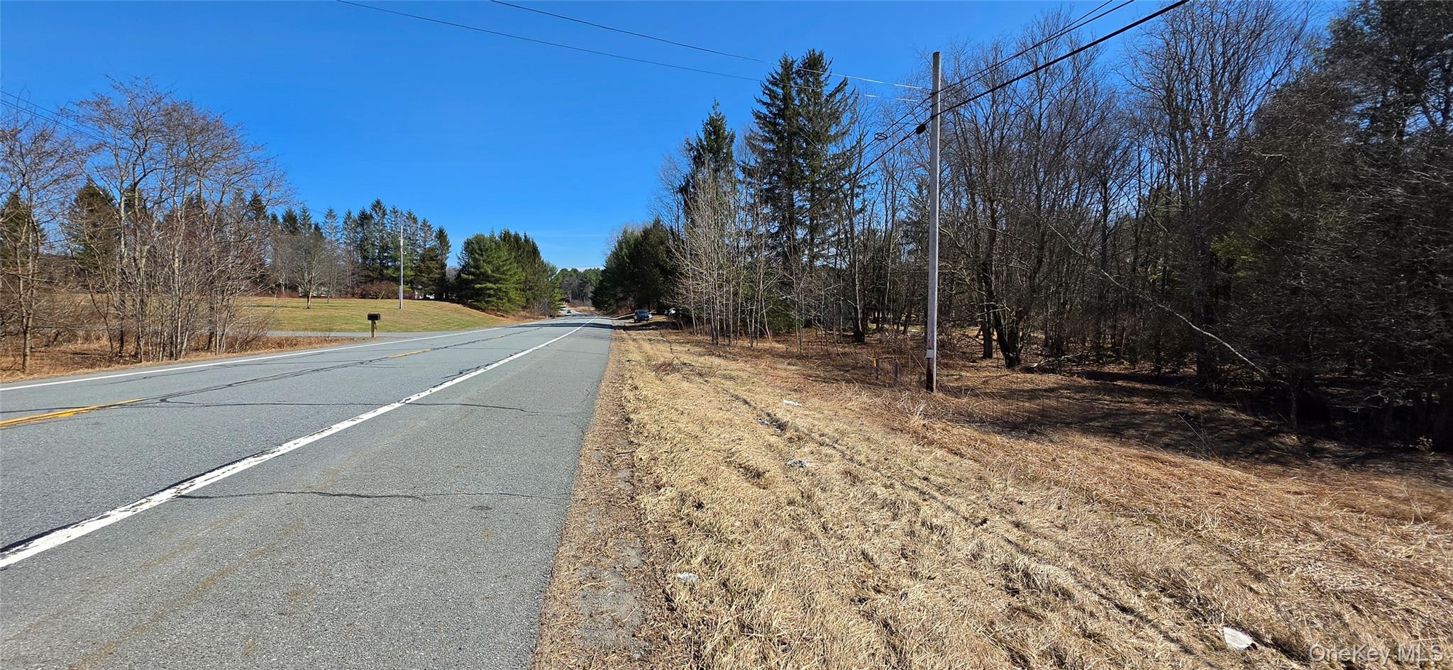 #9 photo, Lot 18.12 Rt. 17B, Bethel , NY 12720