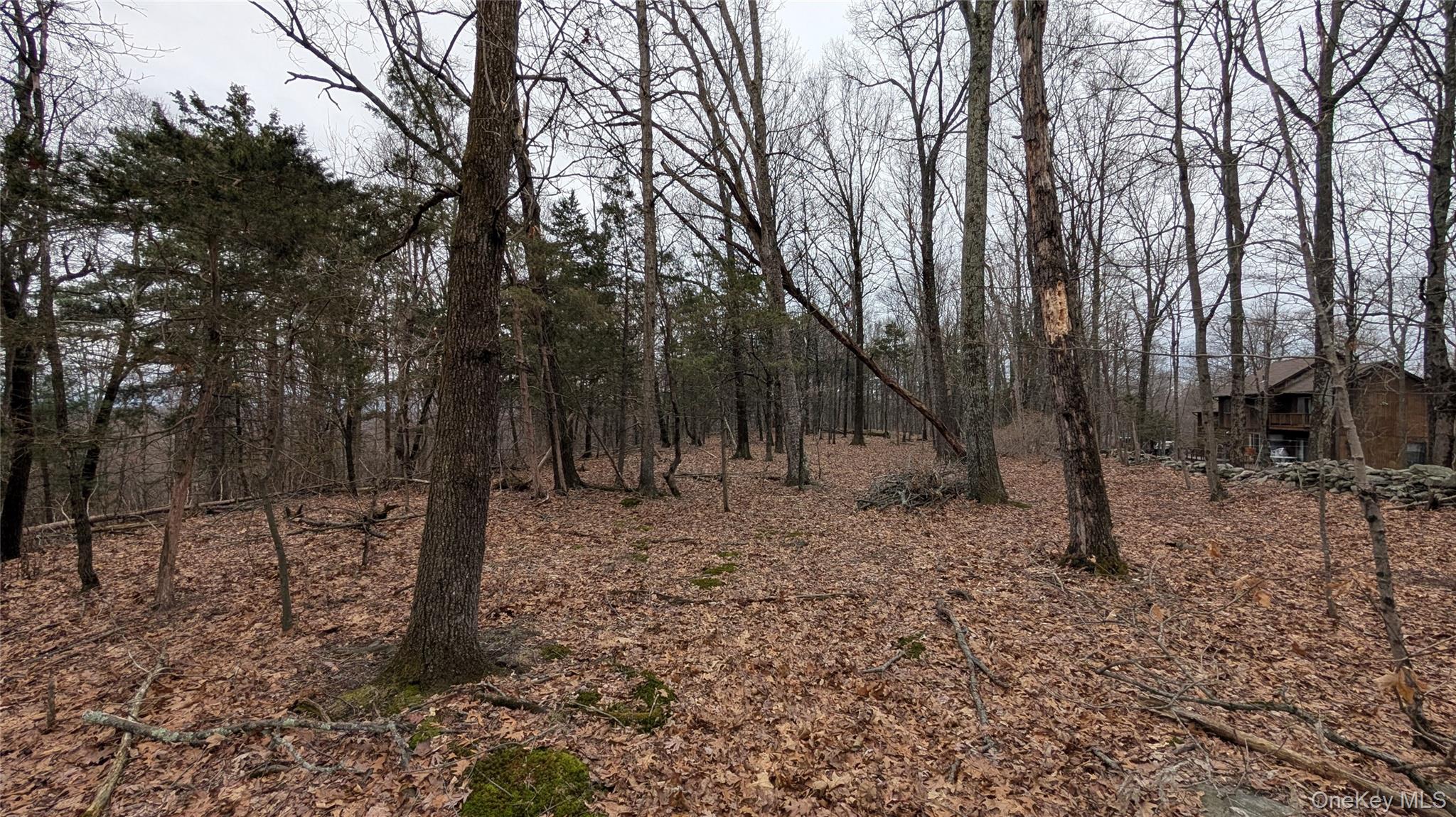 #6 photo, 114 Weyants Lane, Newburgh , NY 12550