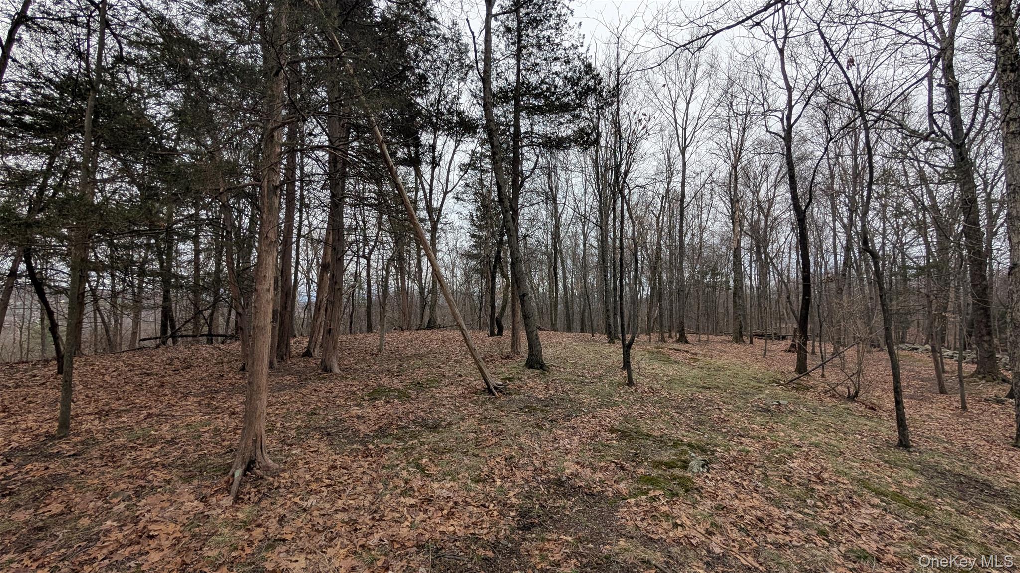 #7 photo, 114 Weyants Lane, Newburgh , NY 12550