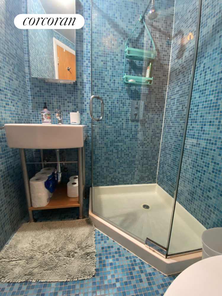 #9 photo, Brooklyn, ブルックリン区 Greenwood Heights , NY 11215