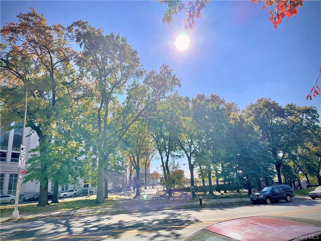 #1 photo, 941 Jerome Avenue, Bronx , NY 10452