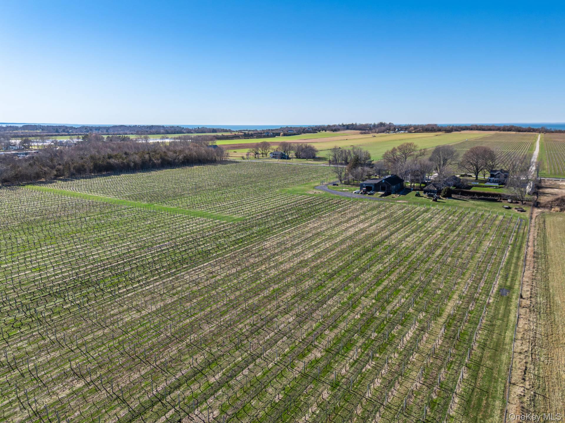 #10 photo, 4100 Oregon Road, Cutchogue , NY 11935