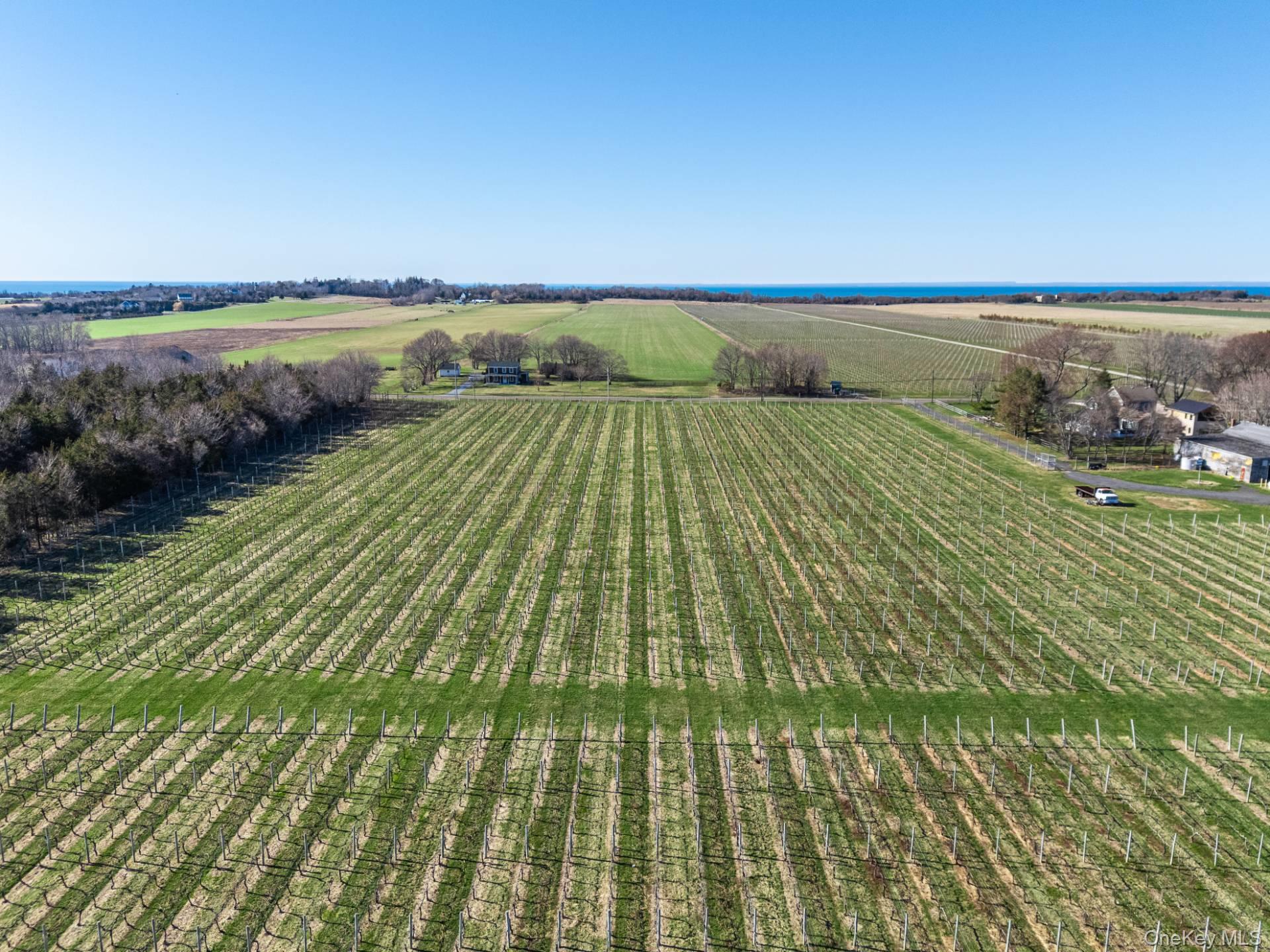 #11 photo, 4100 Oregon Road, Cutchogue , NY 11935