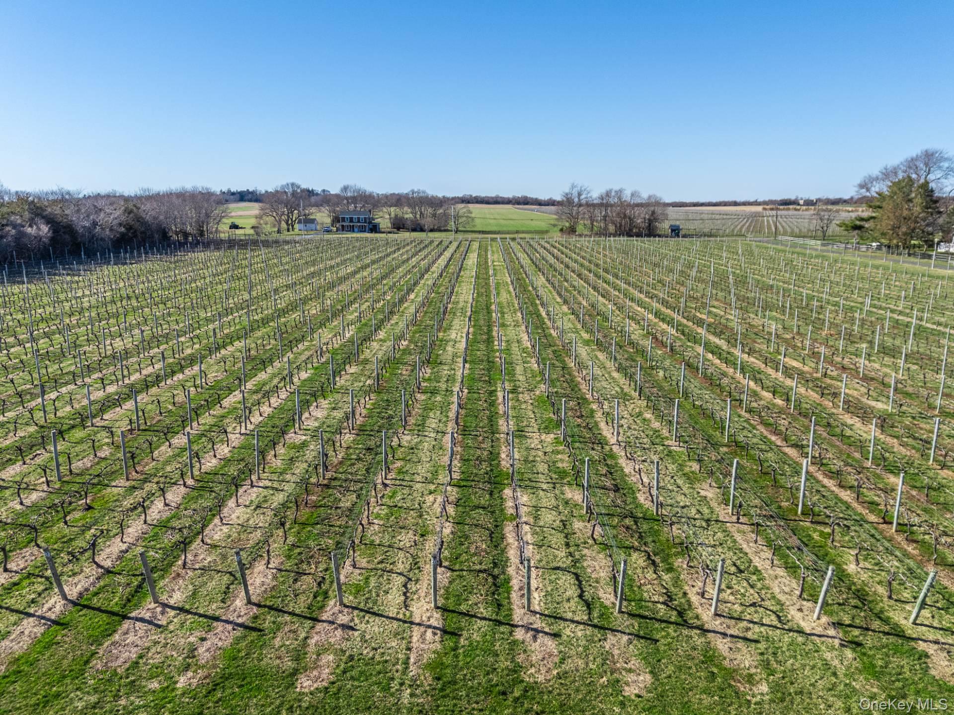 #12 photo, 4100 Oregon Road, Cutchogue , NY 11935