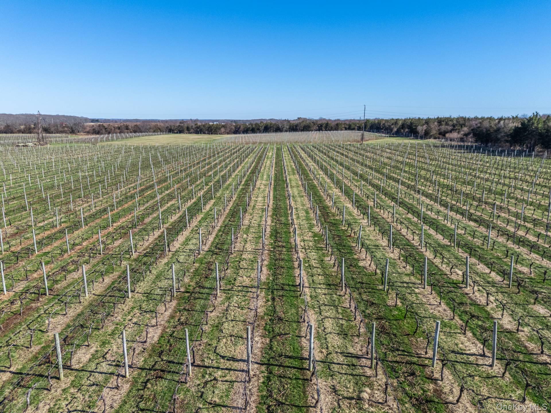 #13 photo, 4100 Oregon Road, Cutchogue , NY 11935