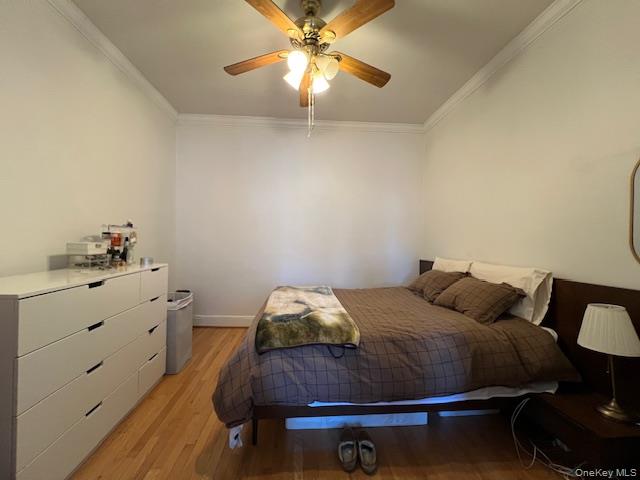 #9 photo, 99 Prospect Place, ブルックリン区 Brooklyn , NY 11217