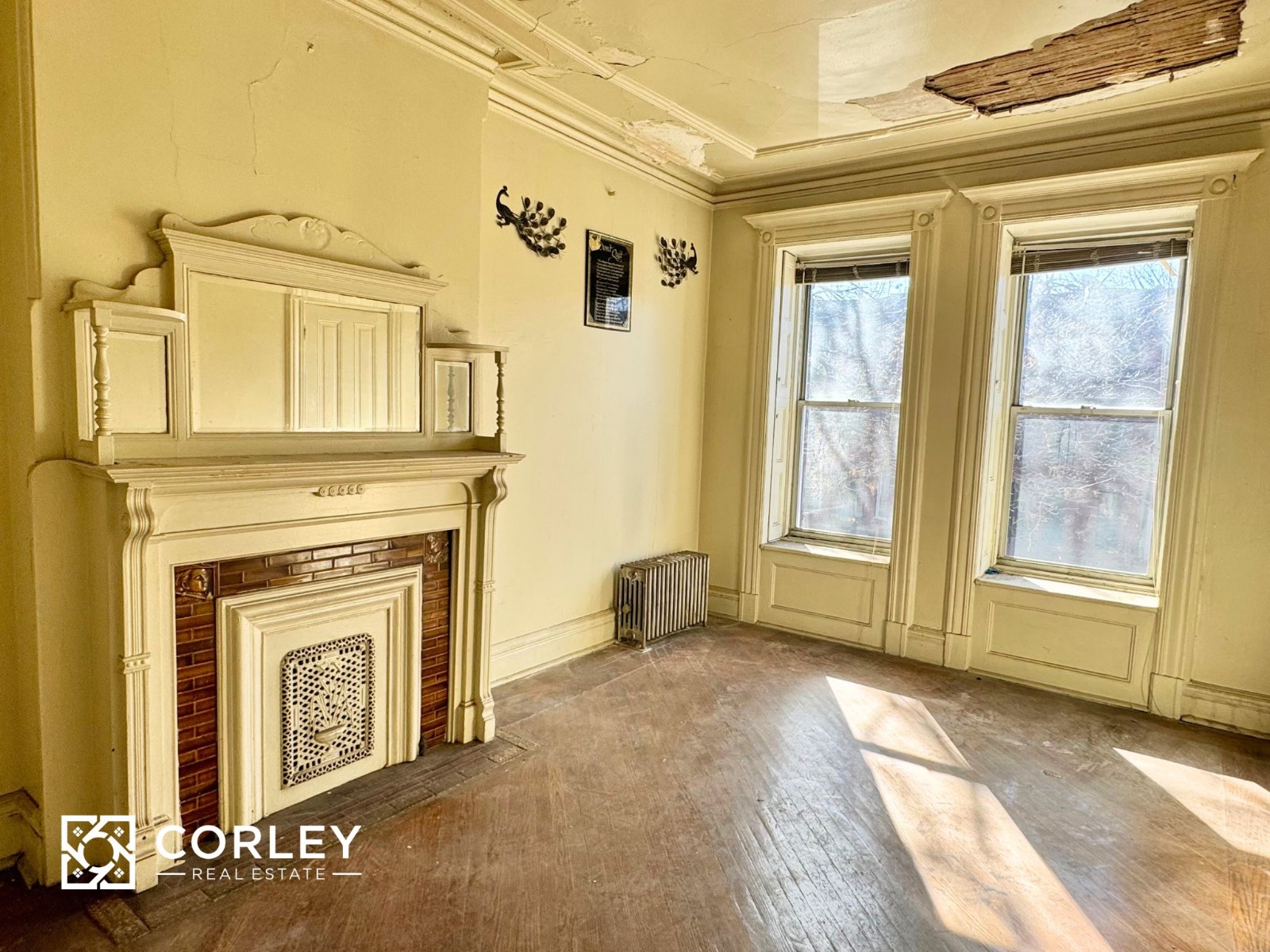 #11 photo, 539 Hancock St, ブルックリン区 Bedford-Stuyvesant , NY 11233