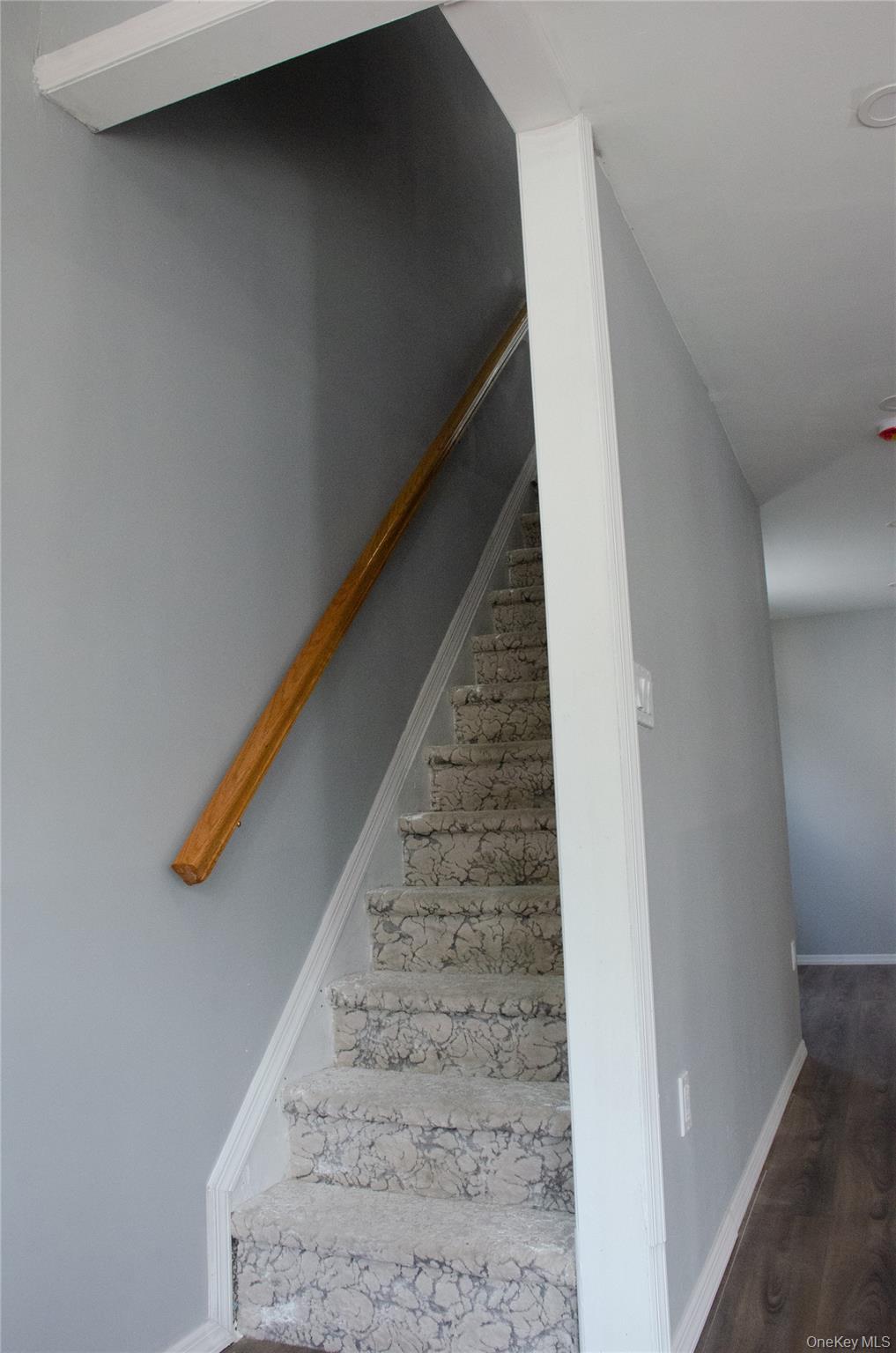 #8 photo, 1161 E 88th Street, ブルックリン区 Brooklyn , NY 11236